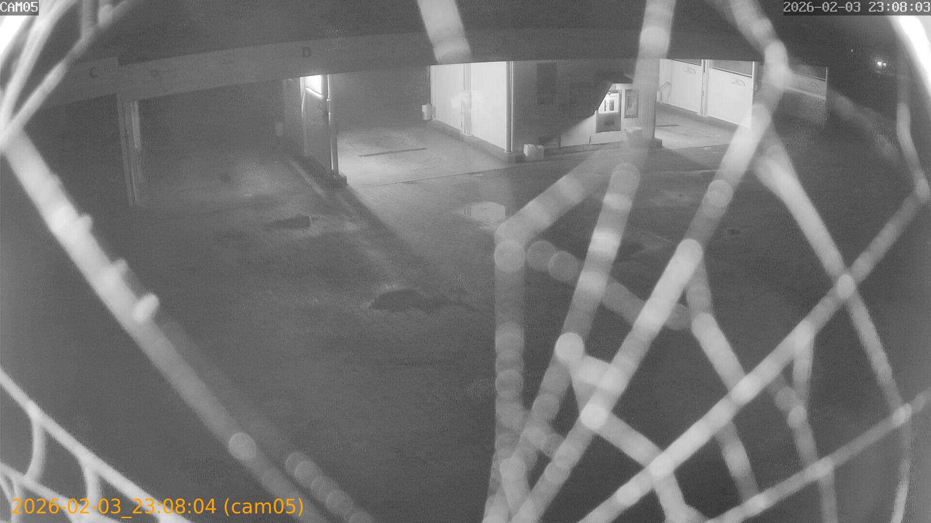 thumbnail_20260203230804