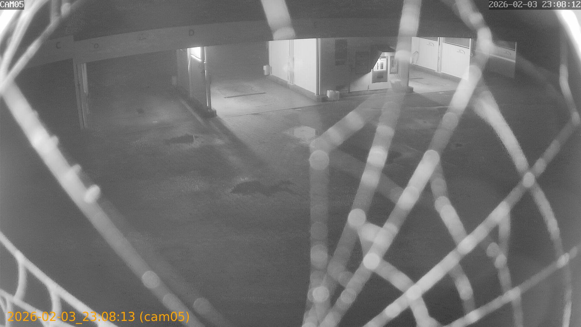 thumbnail_20260203230813