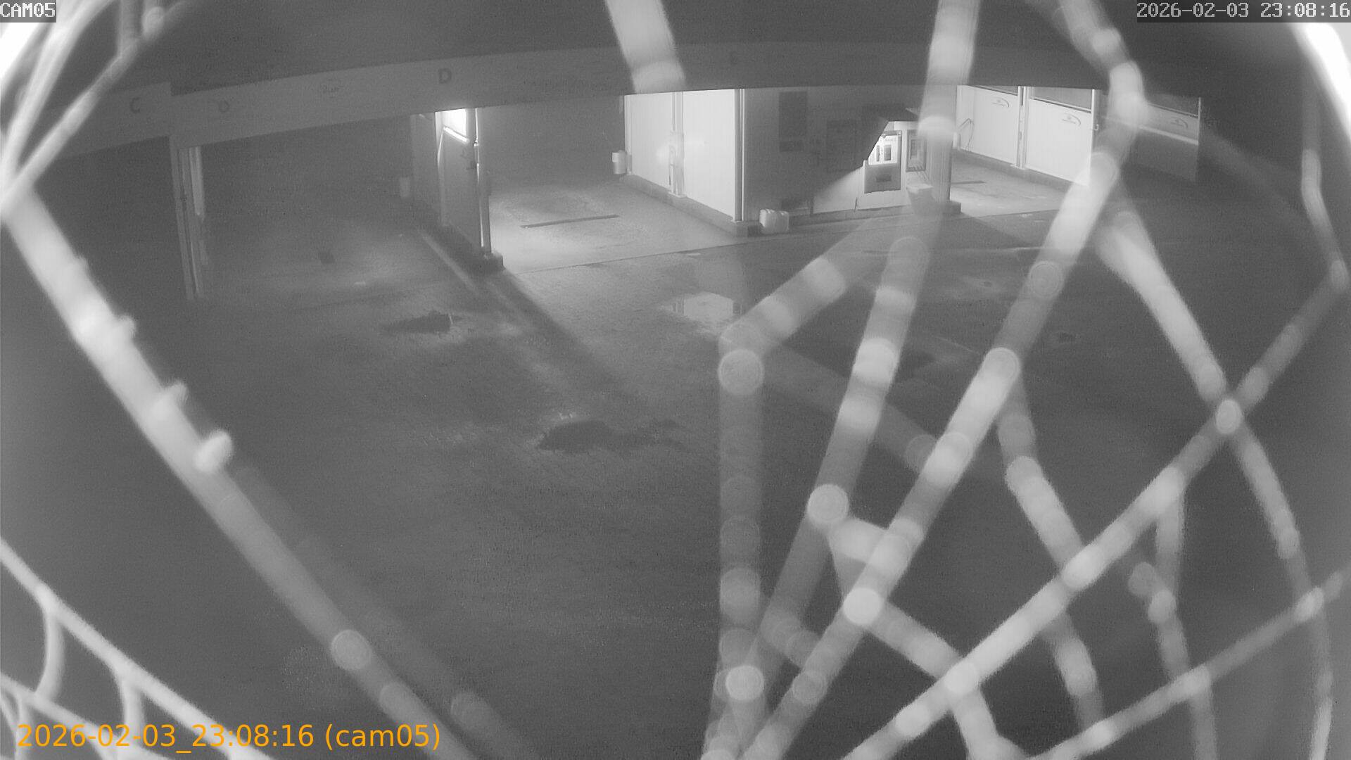 thumbnail_20260203230816