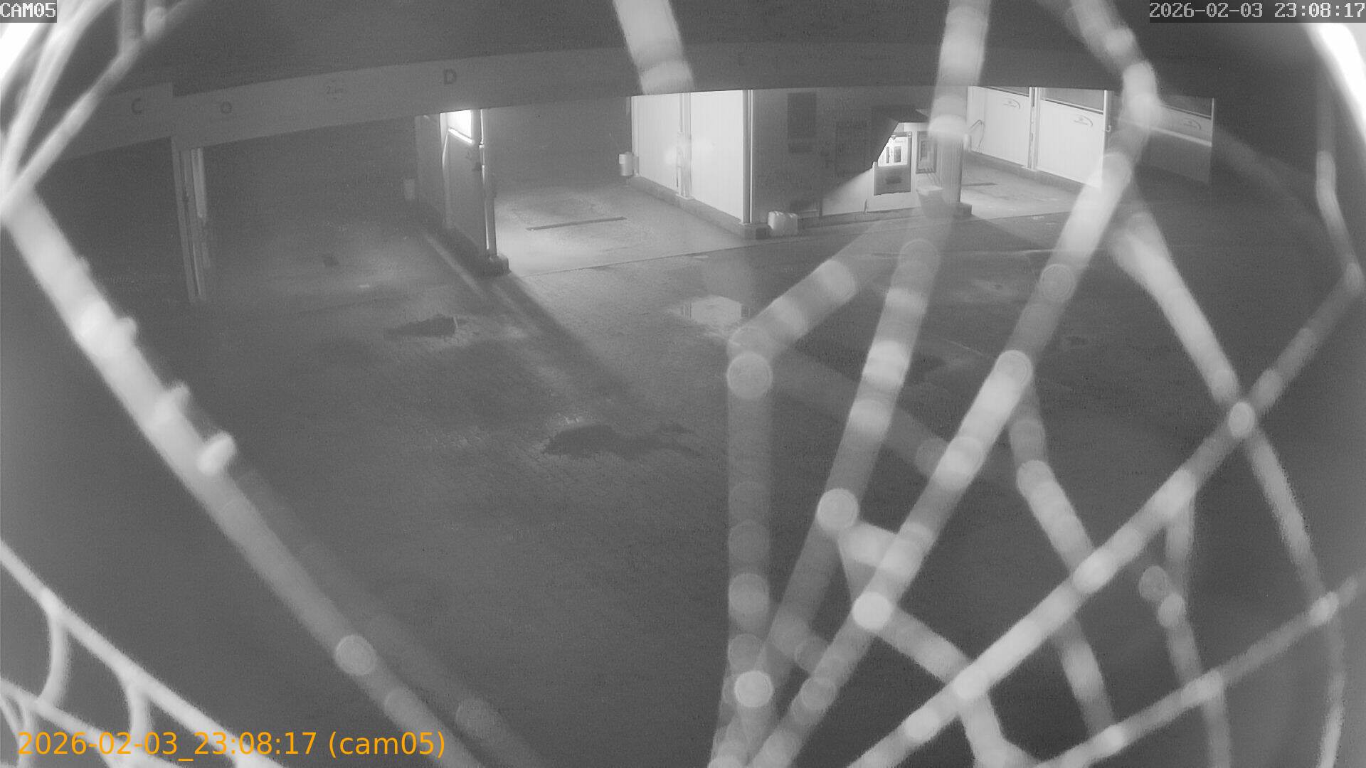 thumbnail_20260203230817