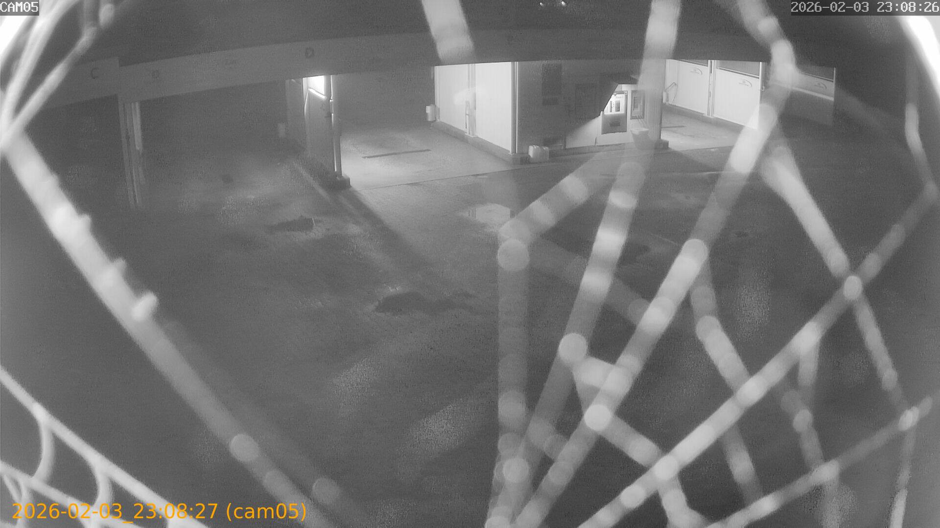 thumbnail_20260203230827