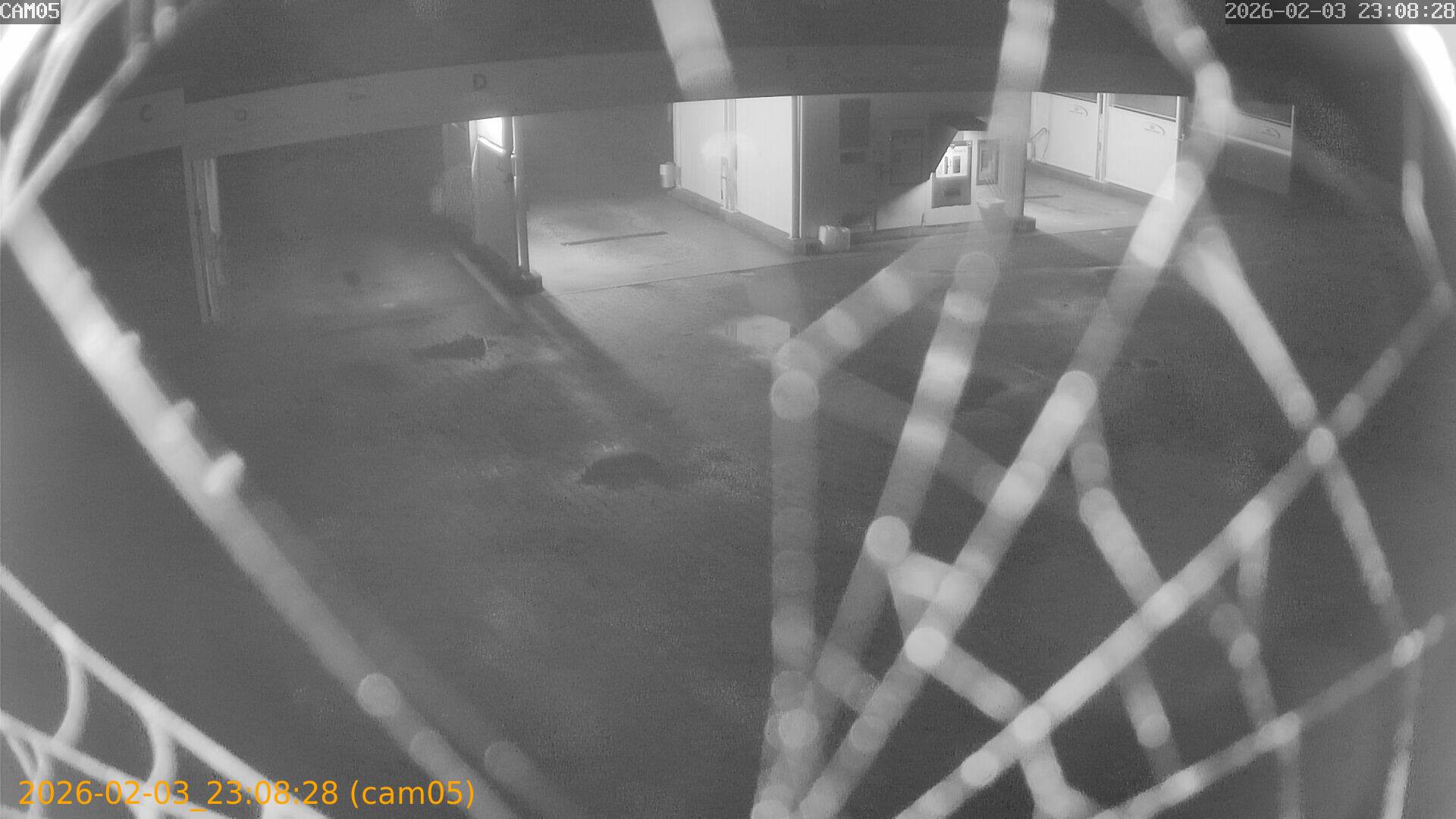 thumbnail_20260203230828