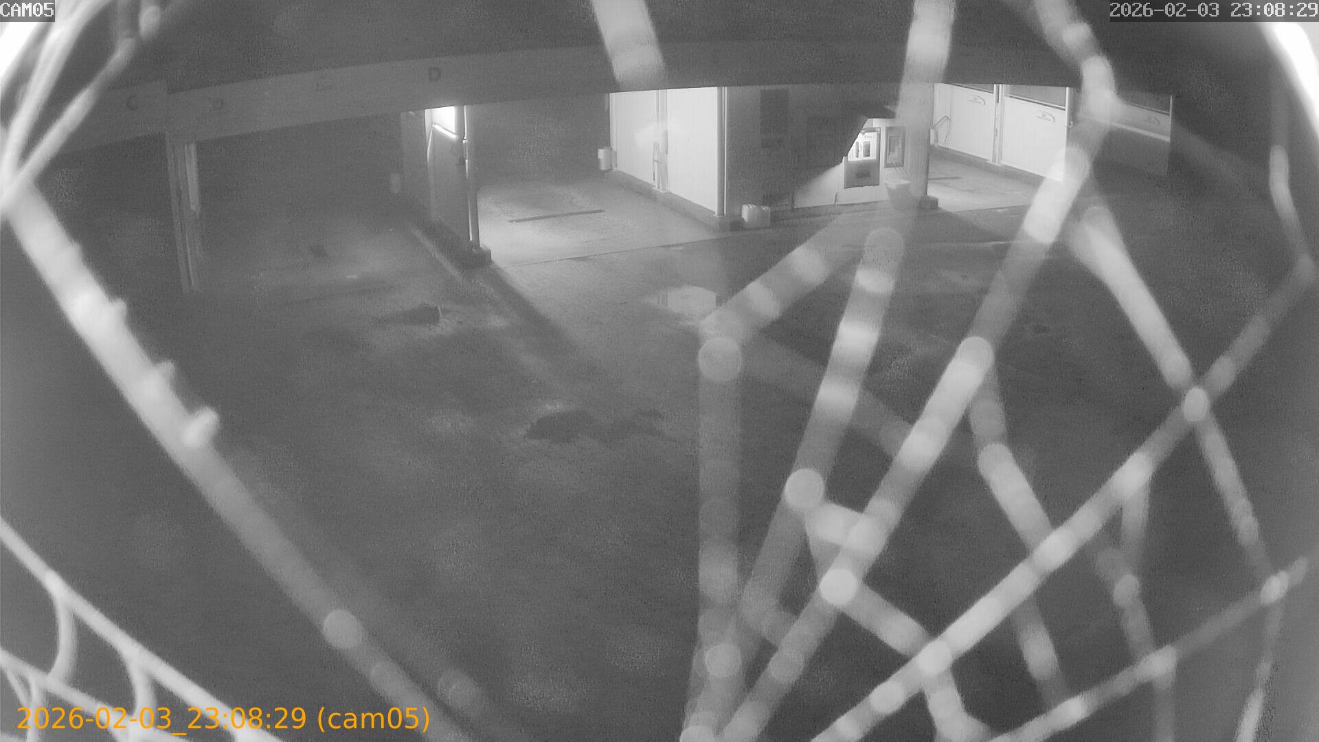 thumbnail_20260203230829