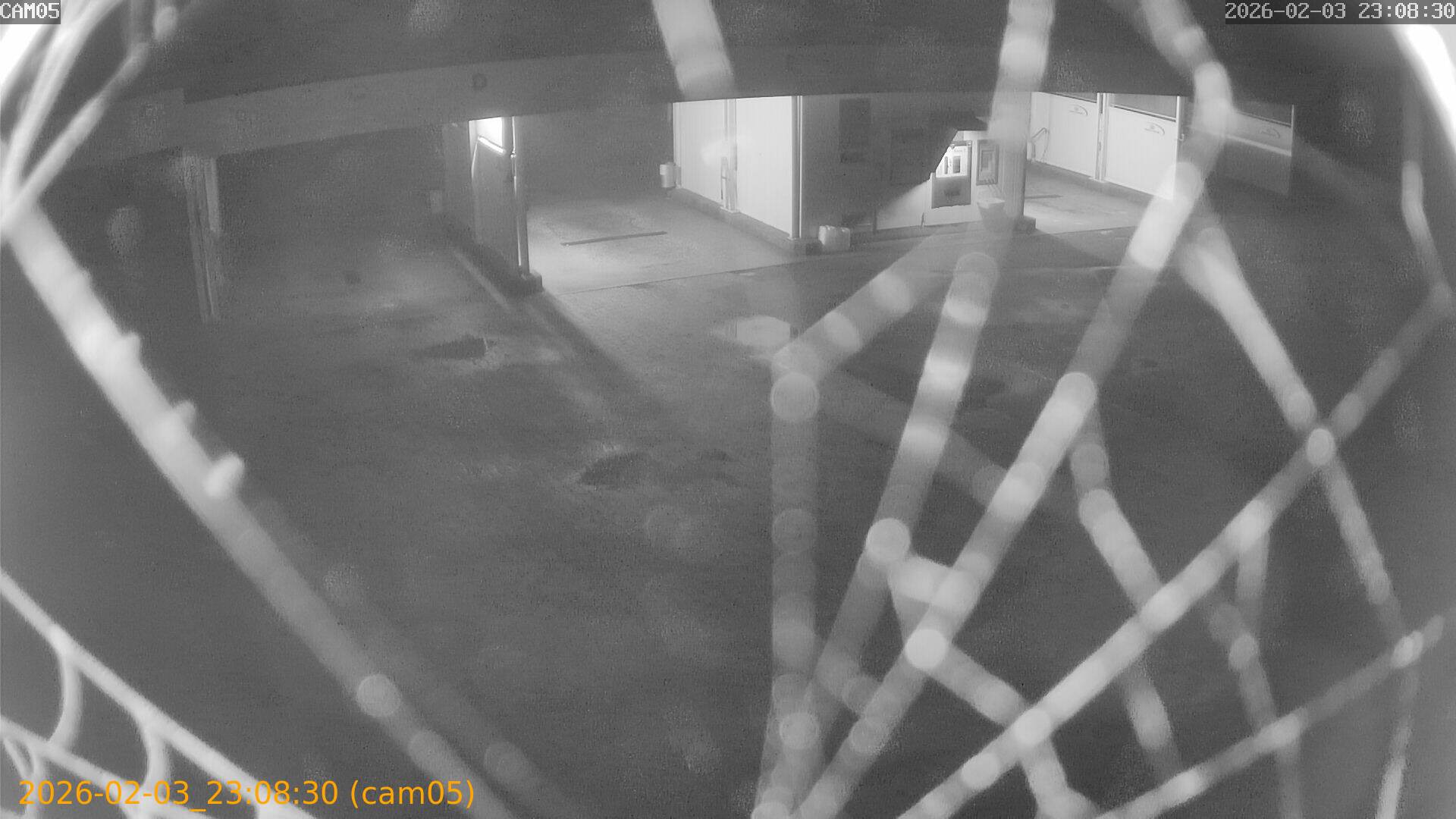 thumbnail_20260203230830