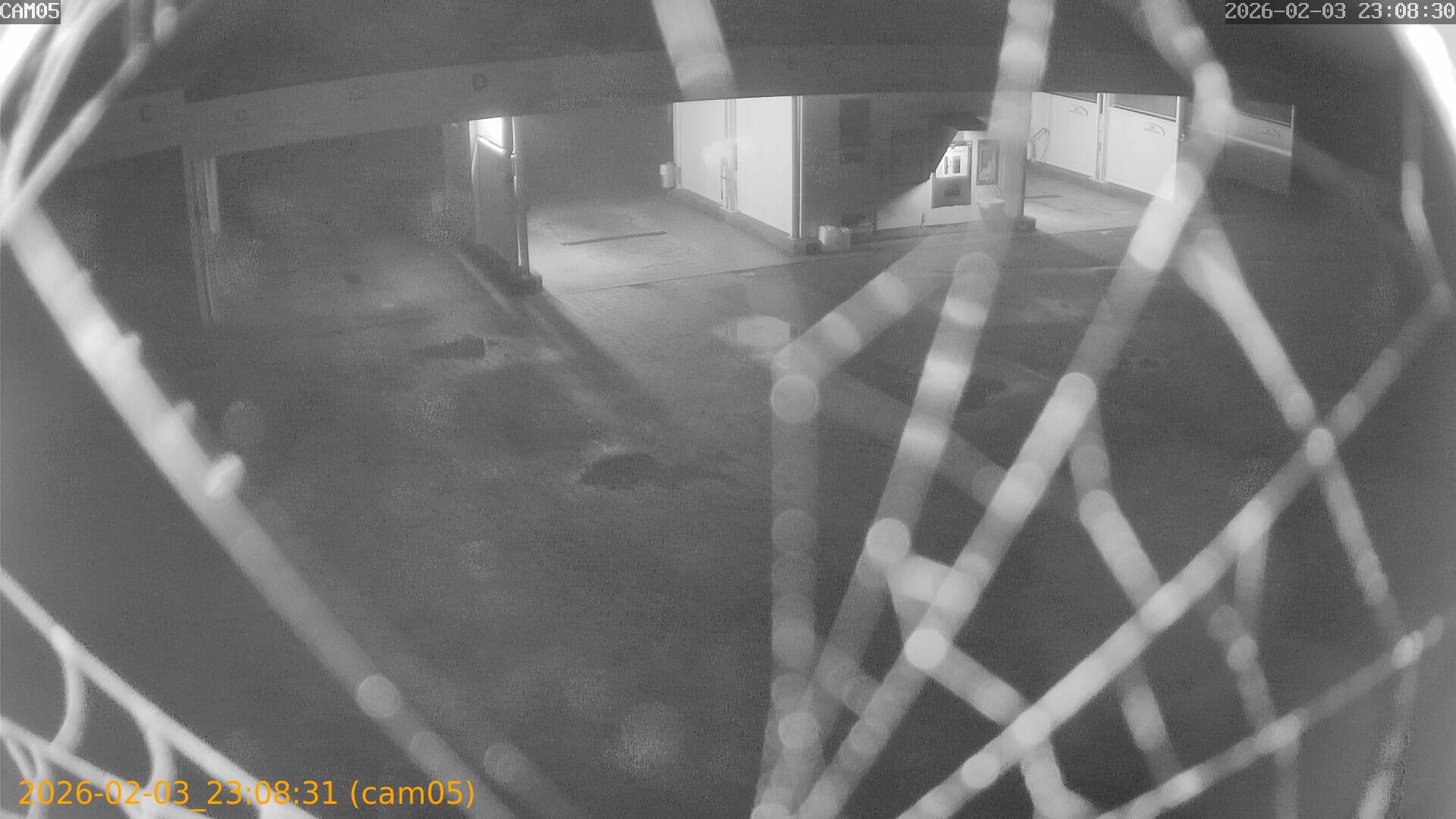 thumbnail_20260203230831