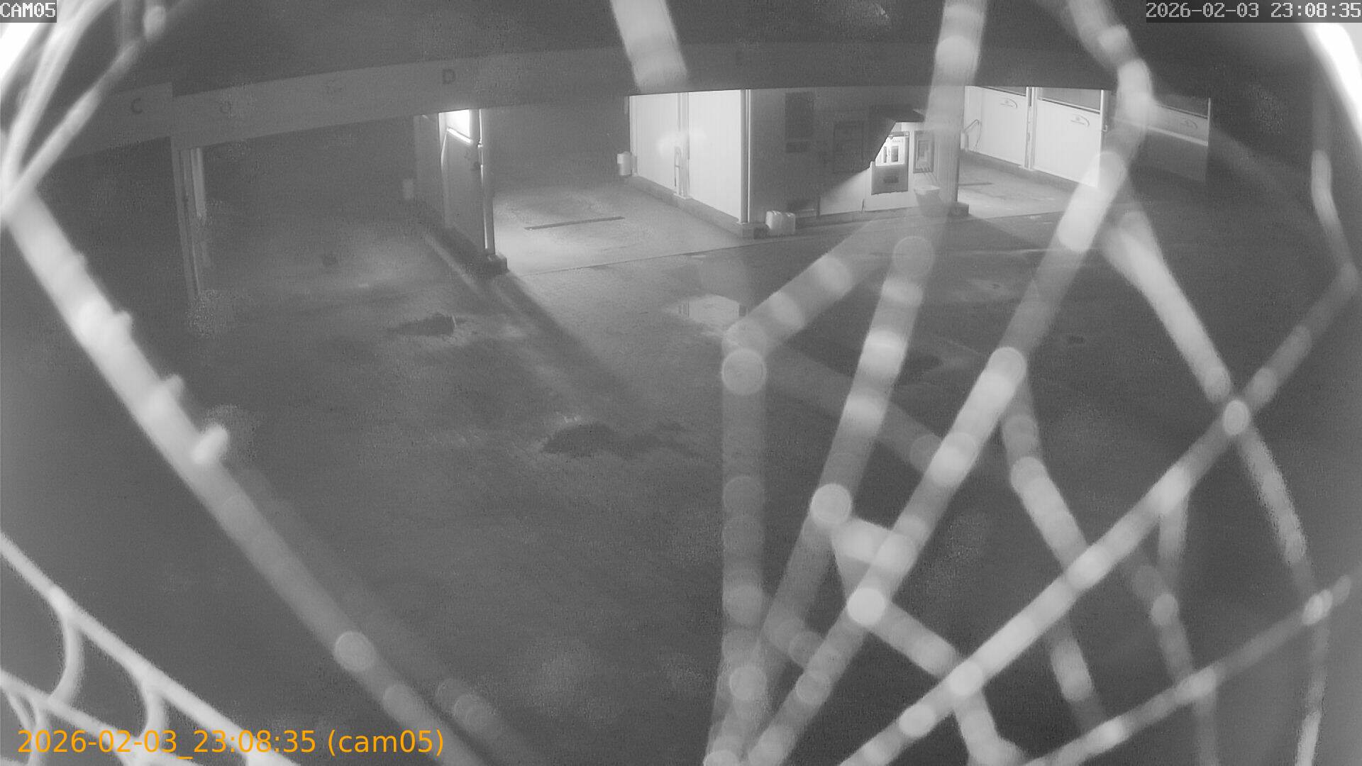 thumbnail_20260203230835