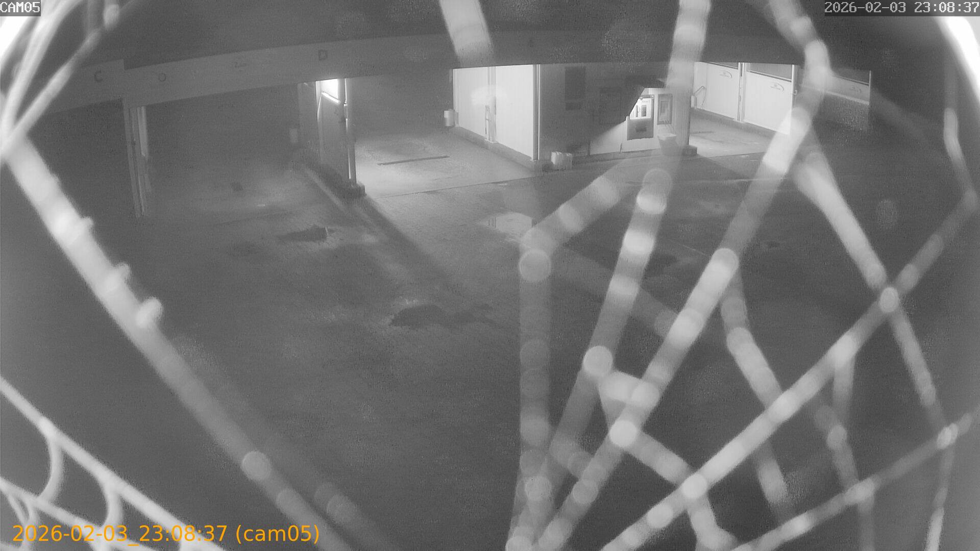 thumbnail_20260203230837