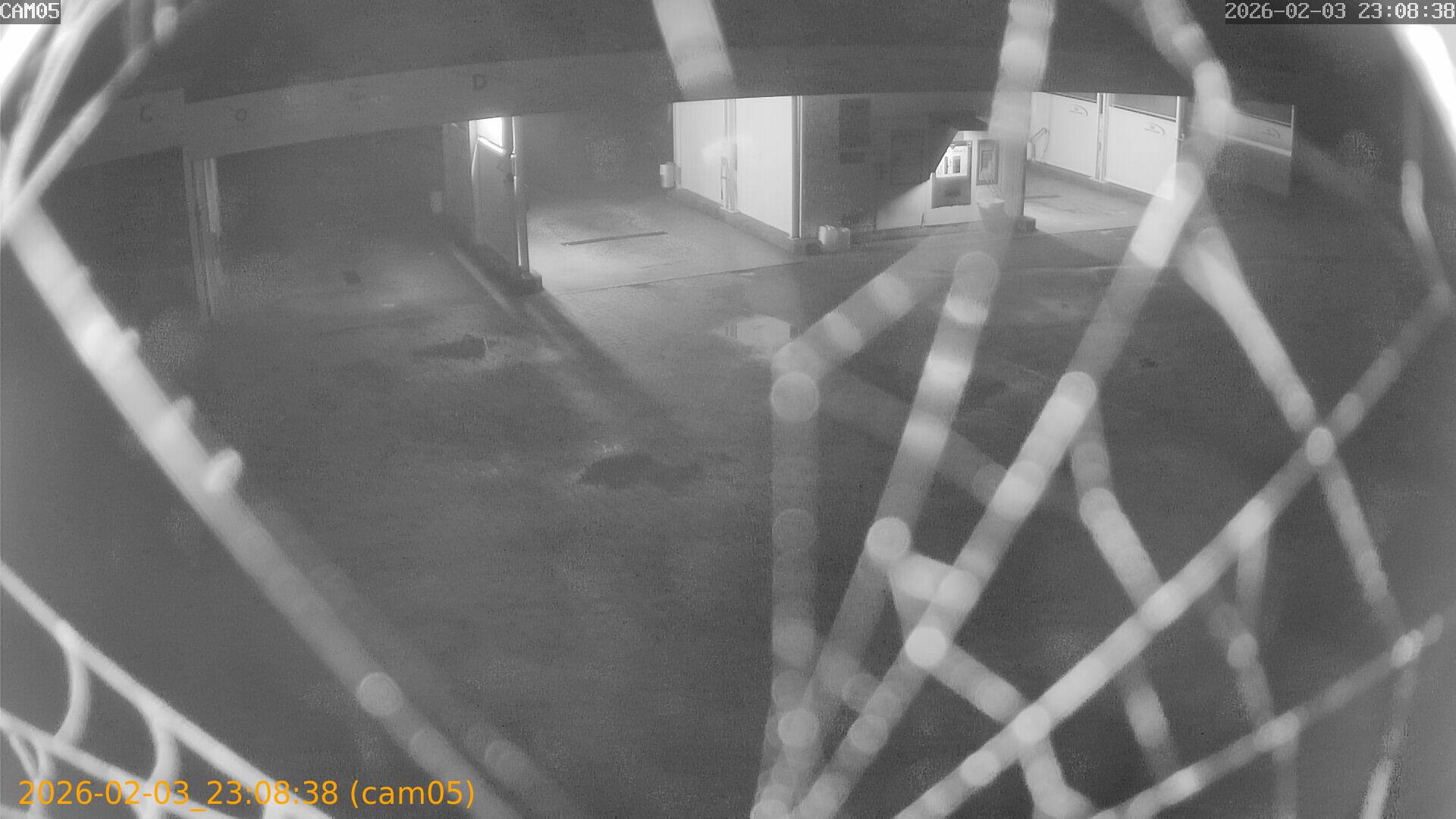 thumbnail_20260203230838