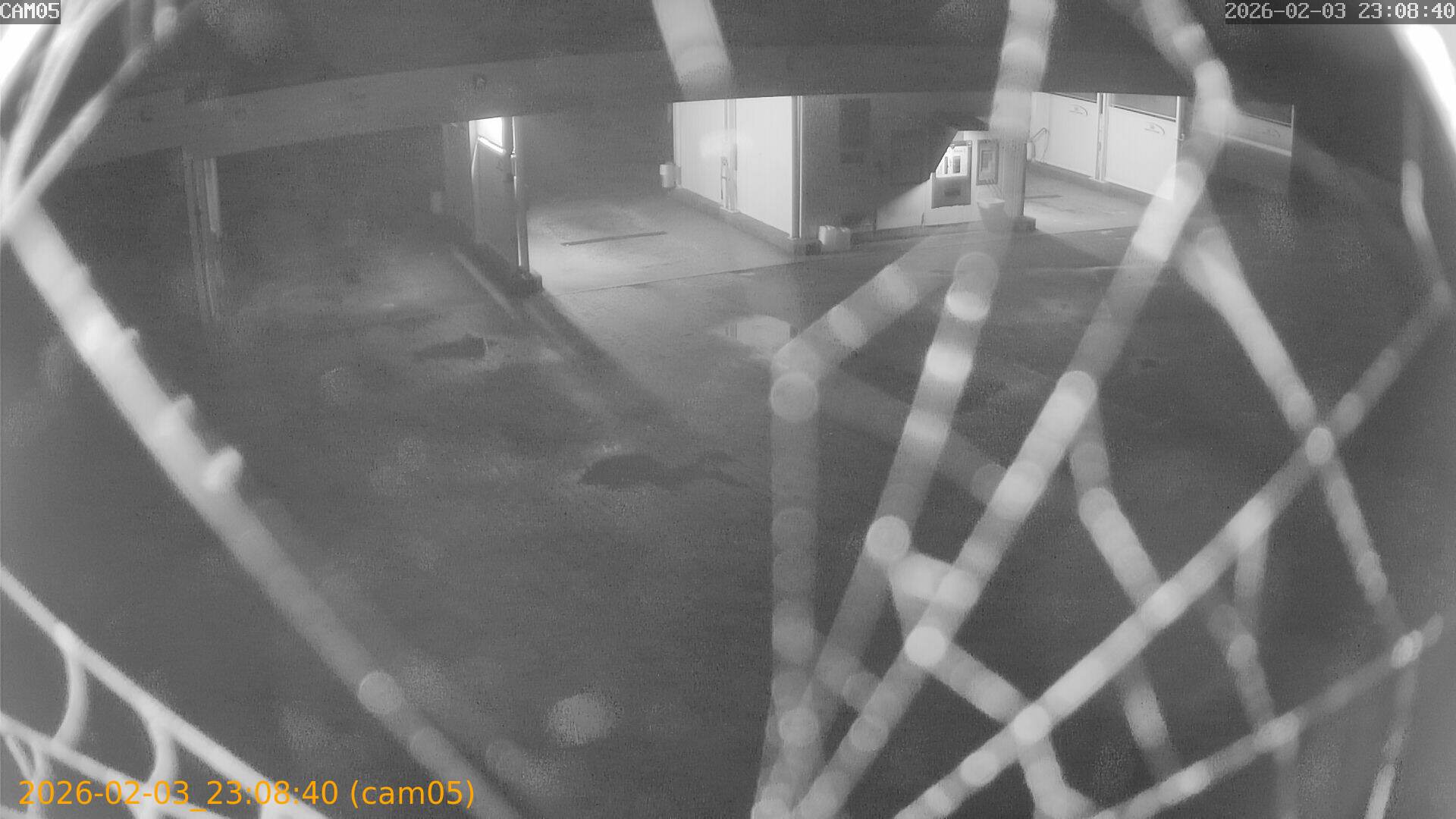 thumbnail_20260203230840