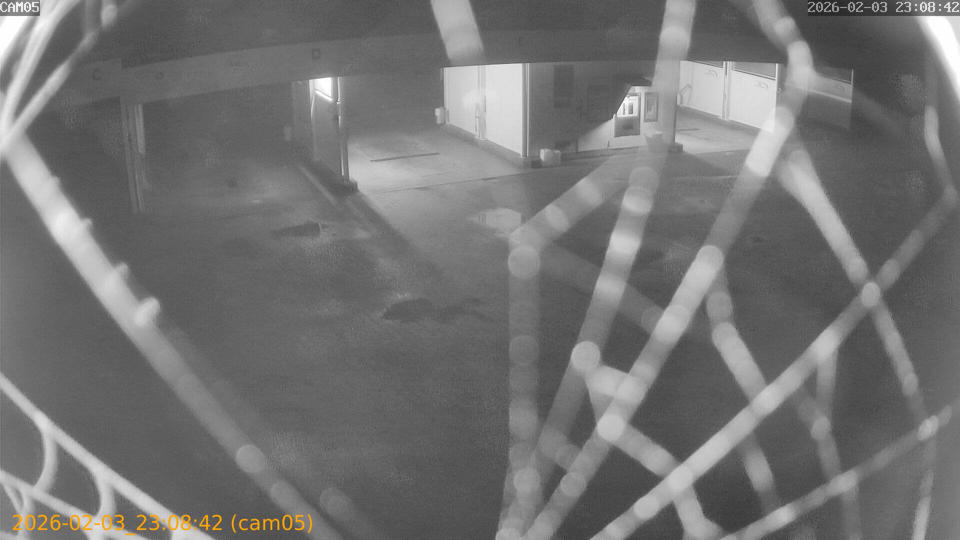 thumbnail_20260203230842