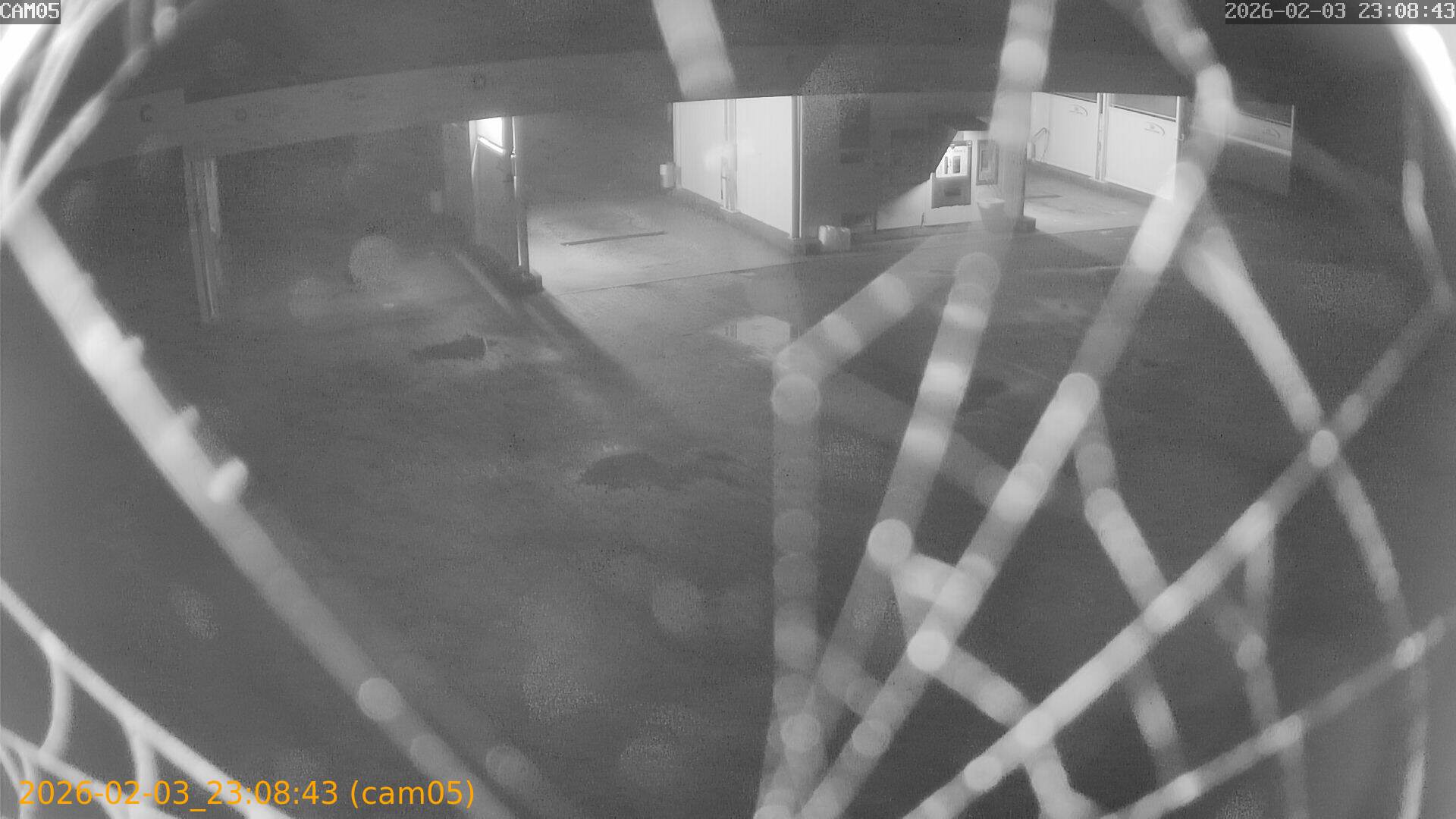 thumbnail_20260203230843