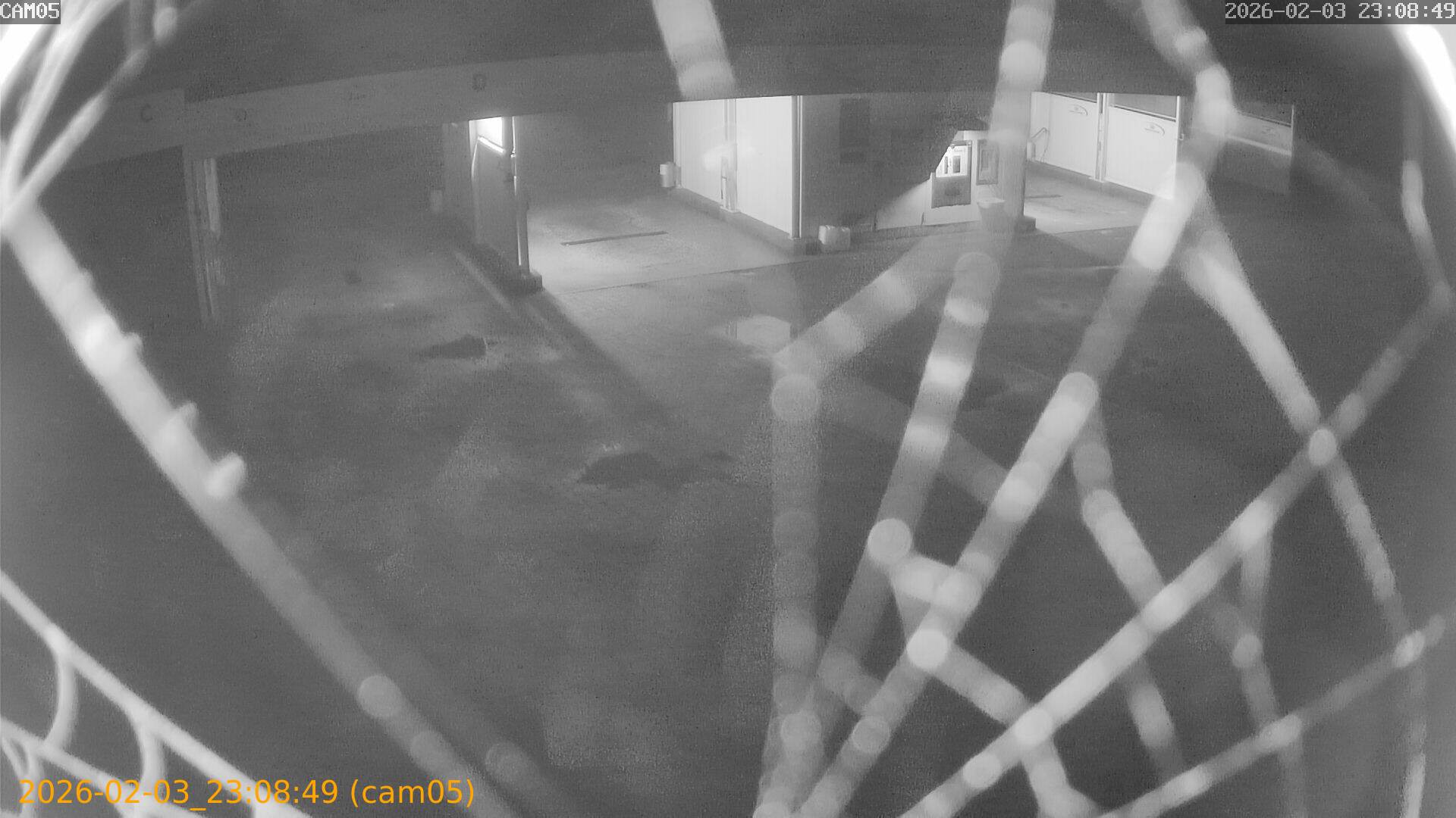 thumbnail_20260203230849