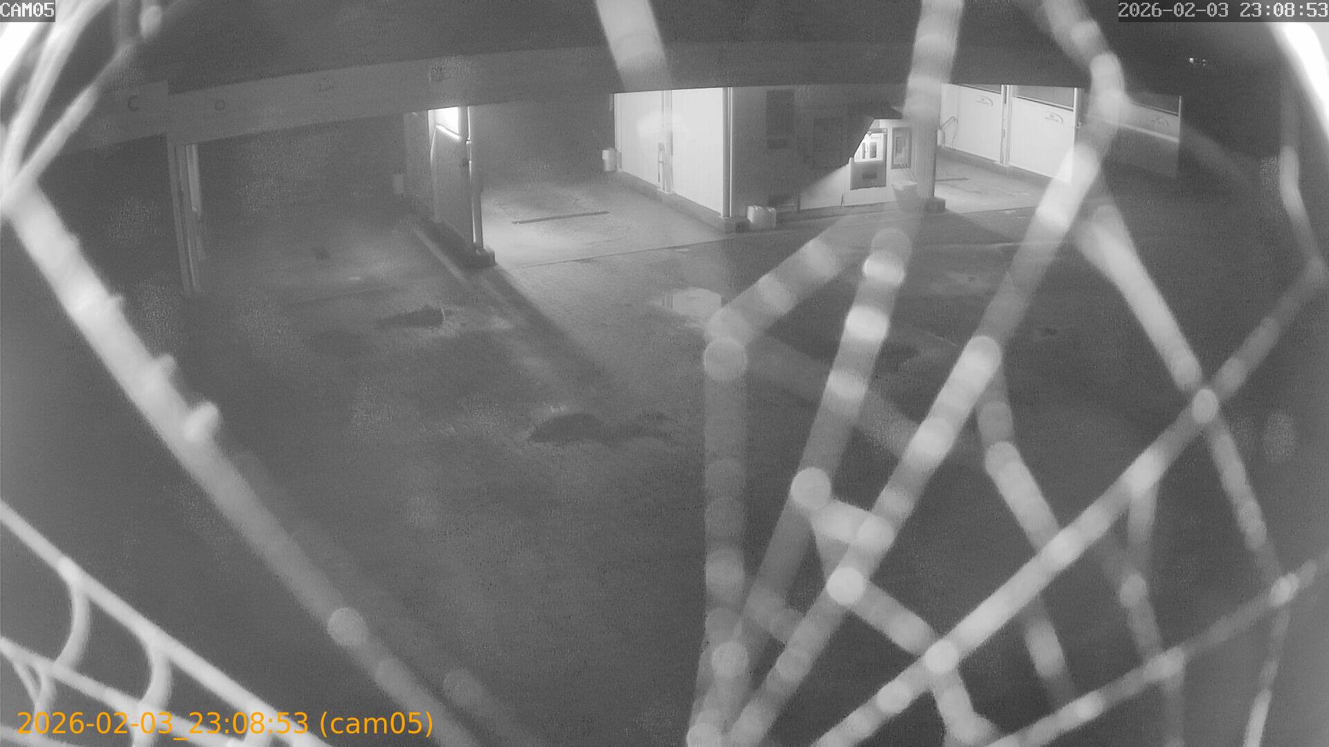 thumbnail_20260203230853