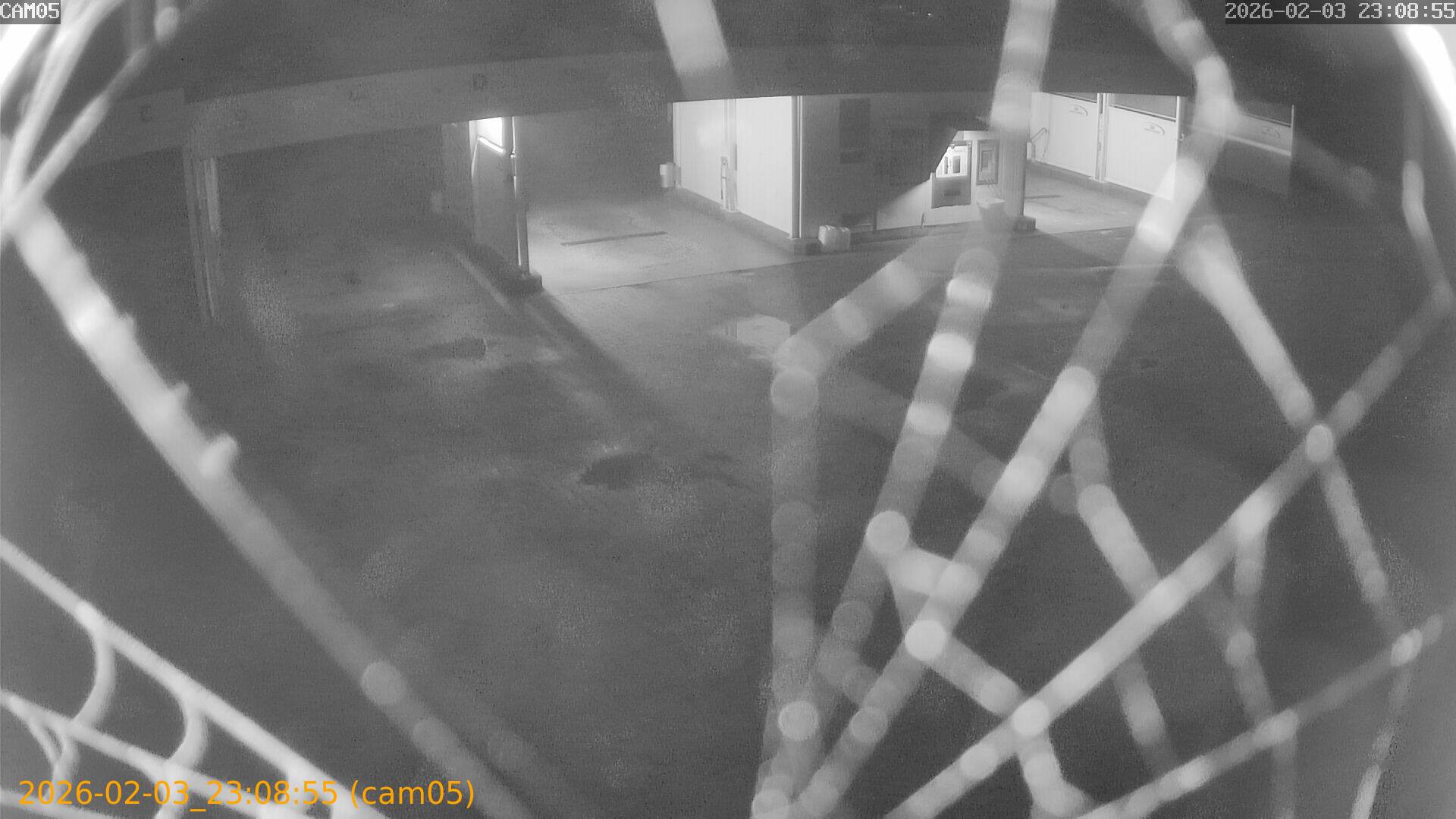 thumbnail_20260203230855