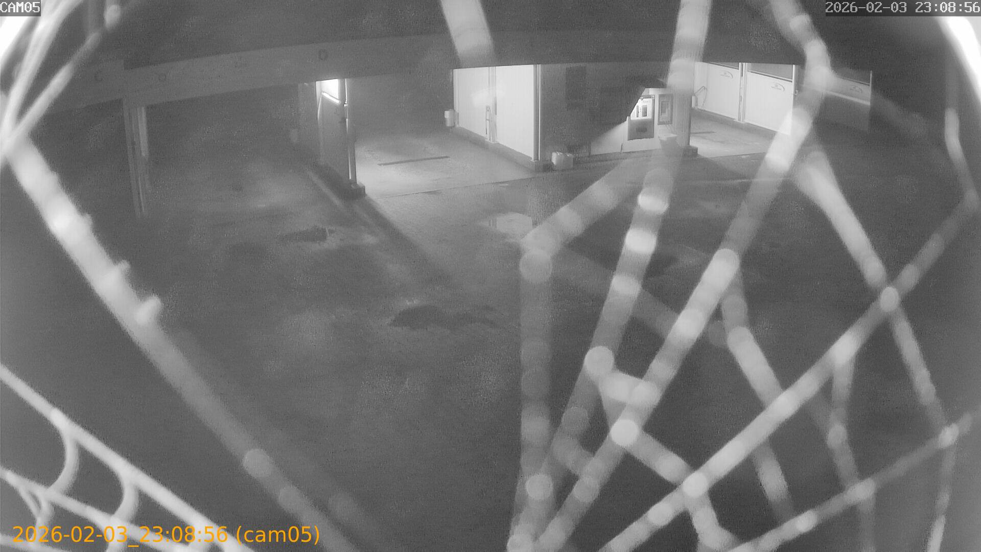 thumbnail_20260203230856