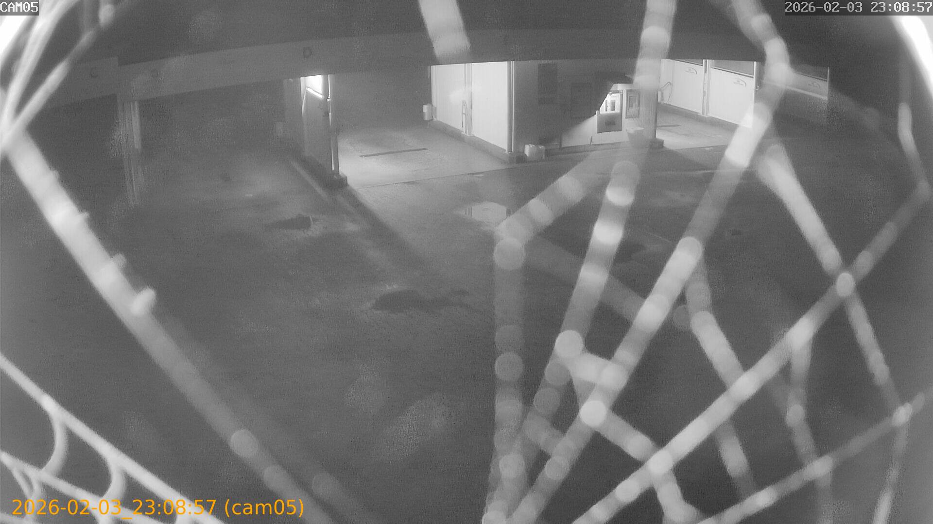 thumbnail_20260203230857