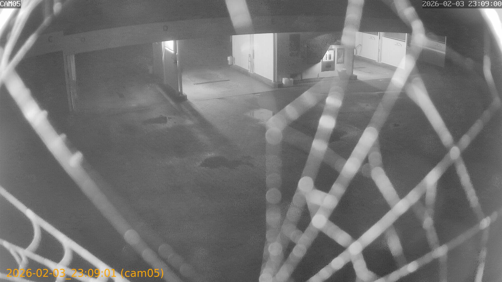 thumbnail_20260203230901