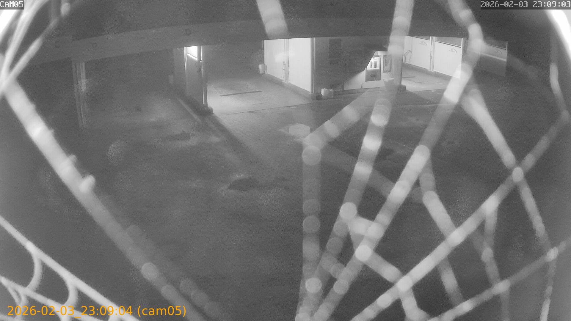 thumbnail_20260203230904