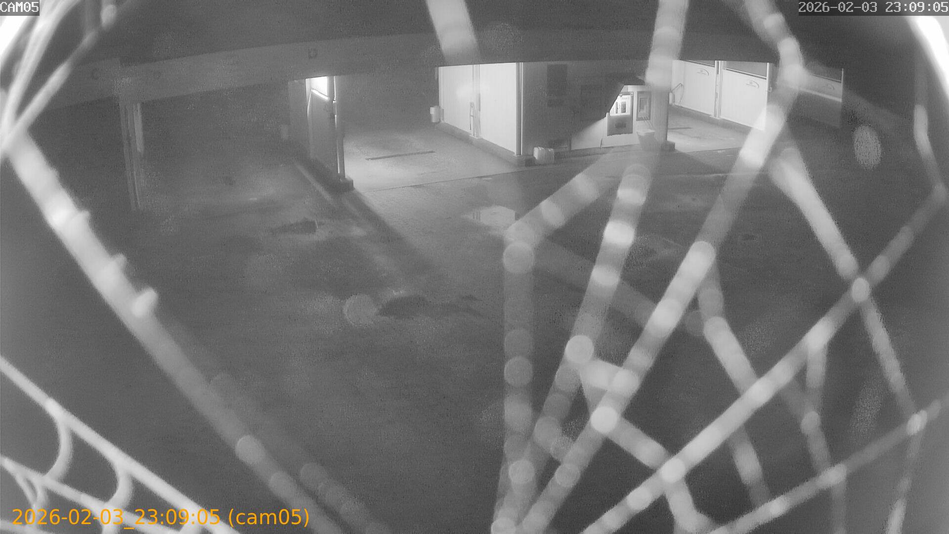 thumbnail_20260203230905