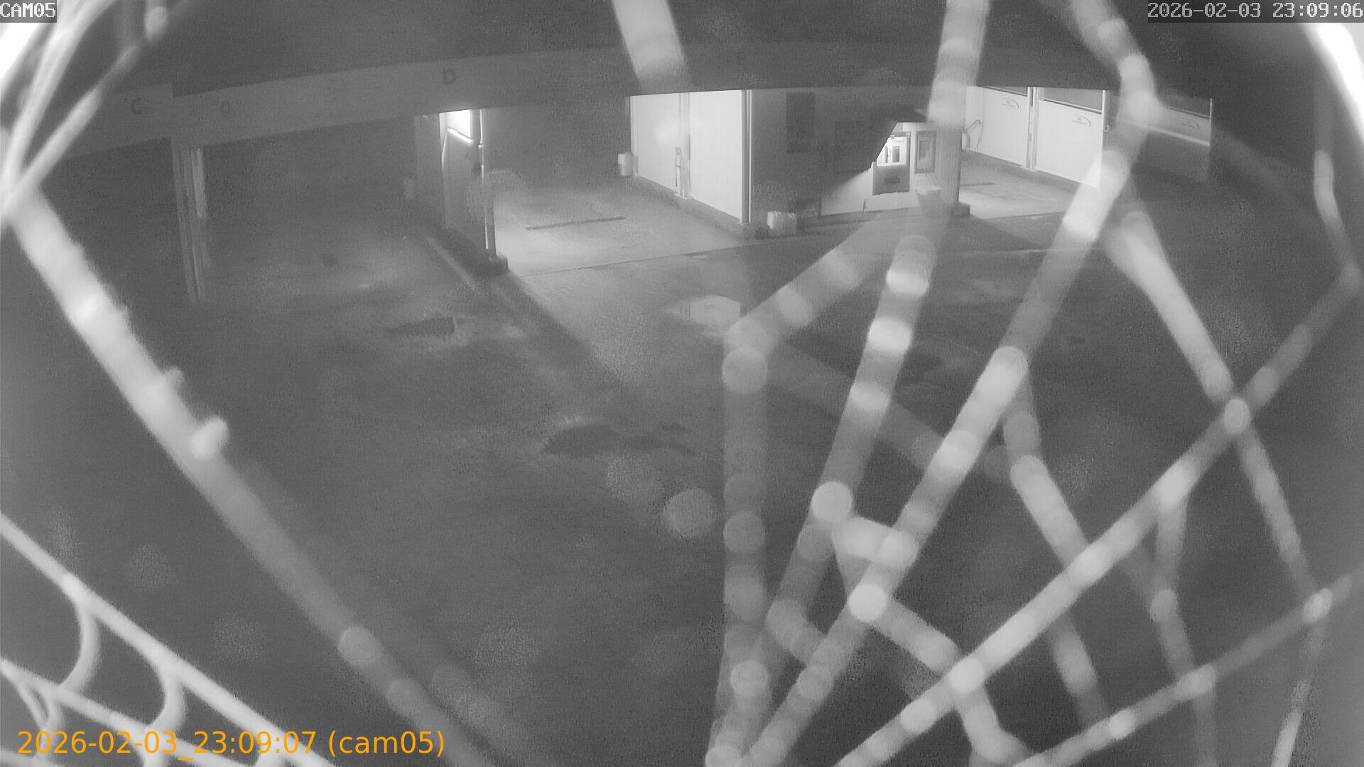 thumbnail_20260203230907