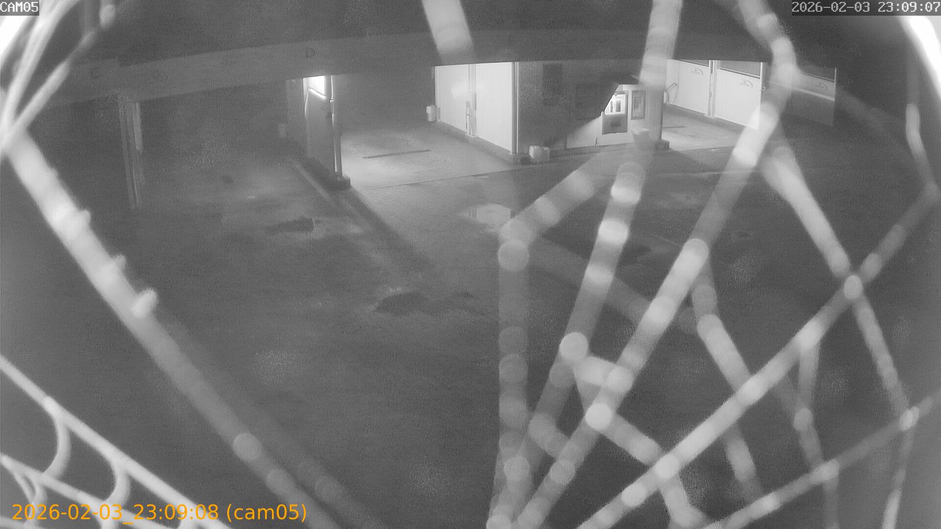 thumbnail_20260203230908