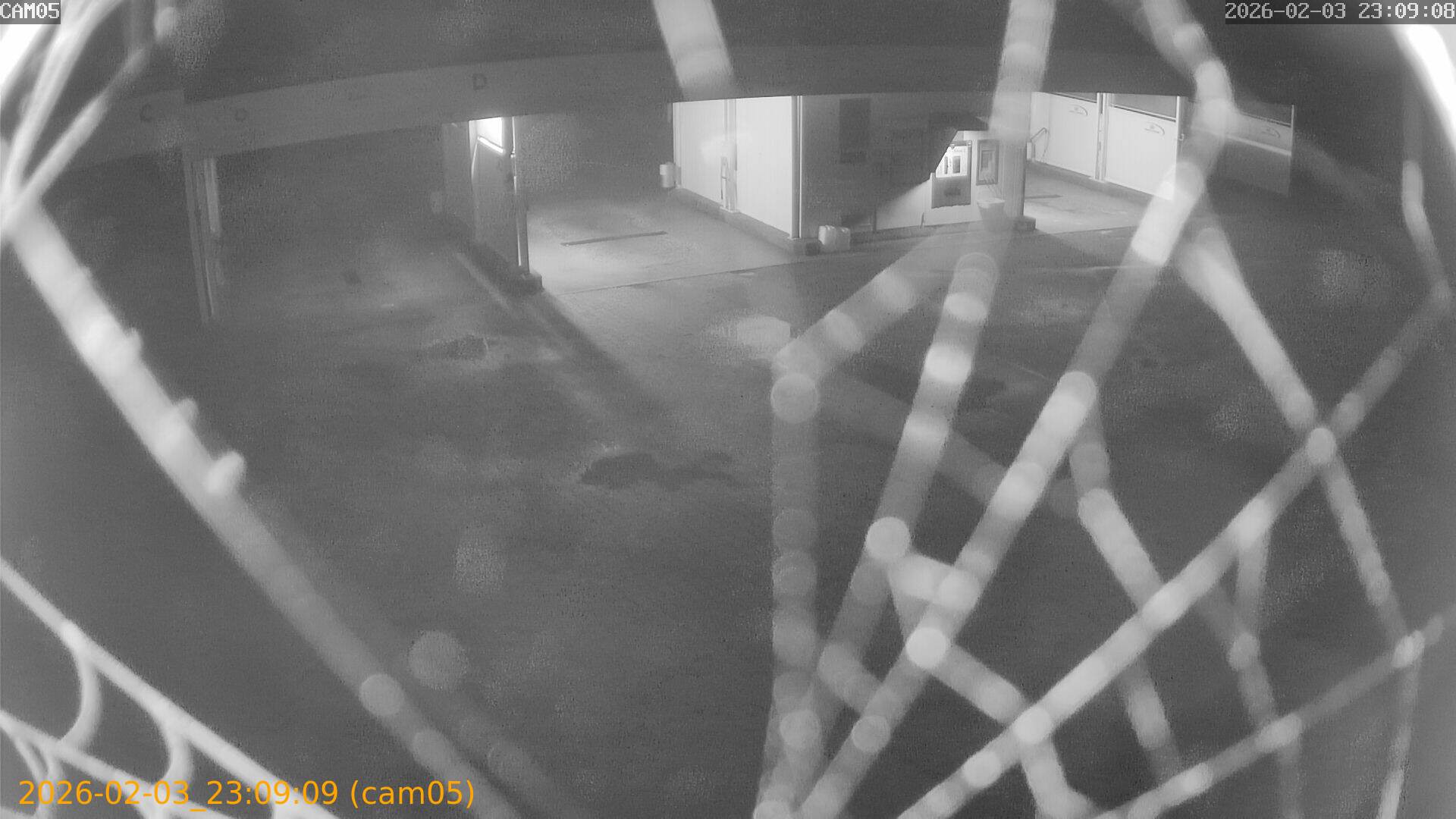 thumbnail_20260203230909