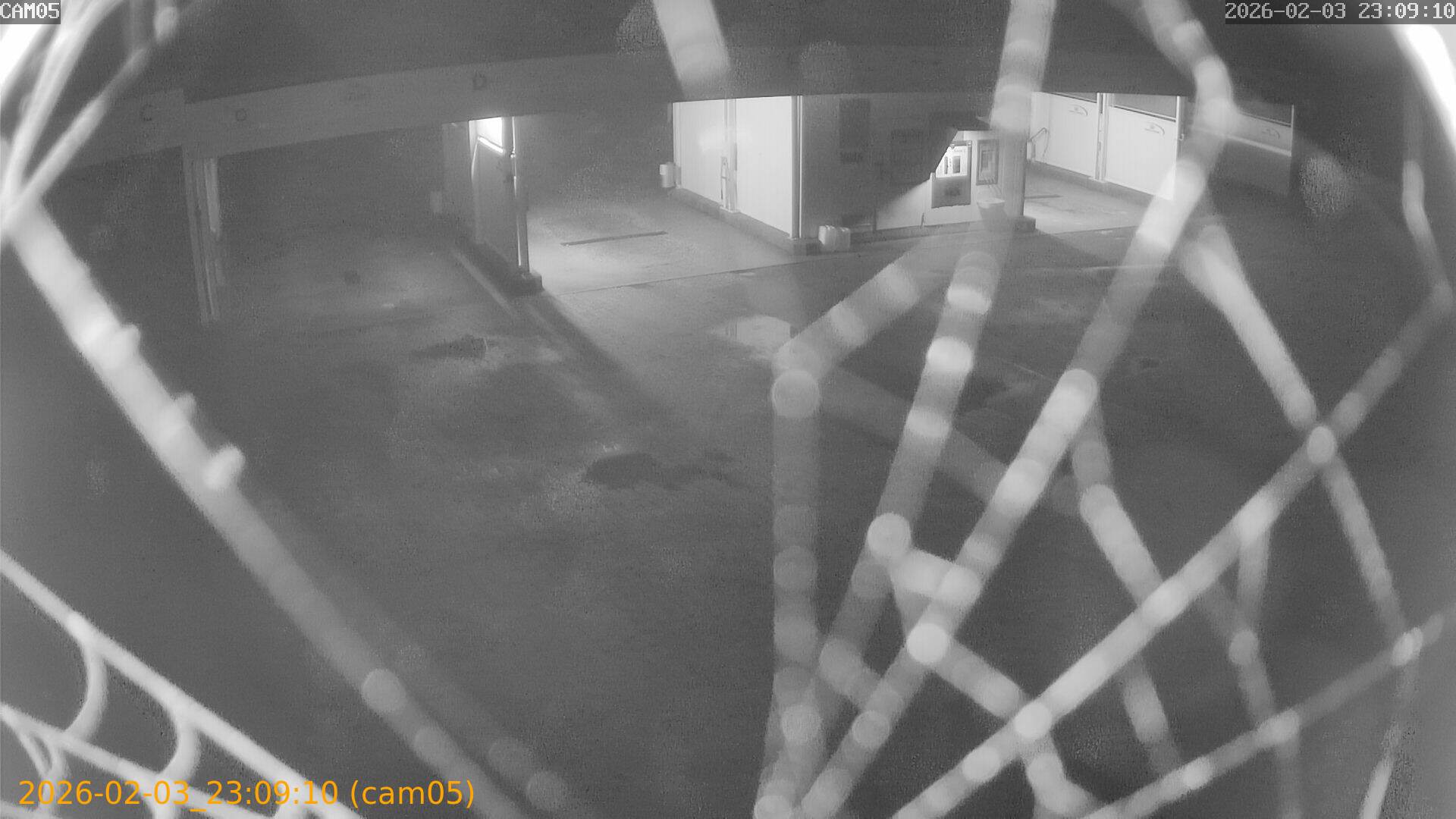 thumbnail_20260203230910