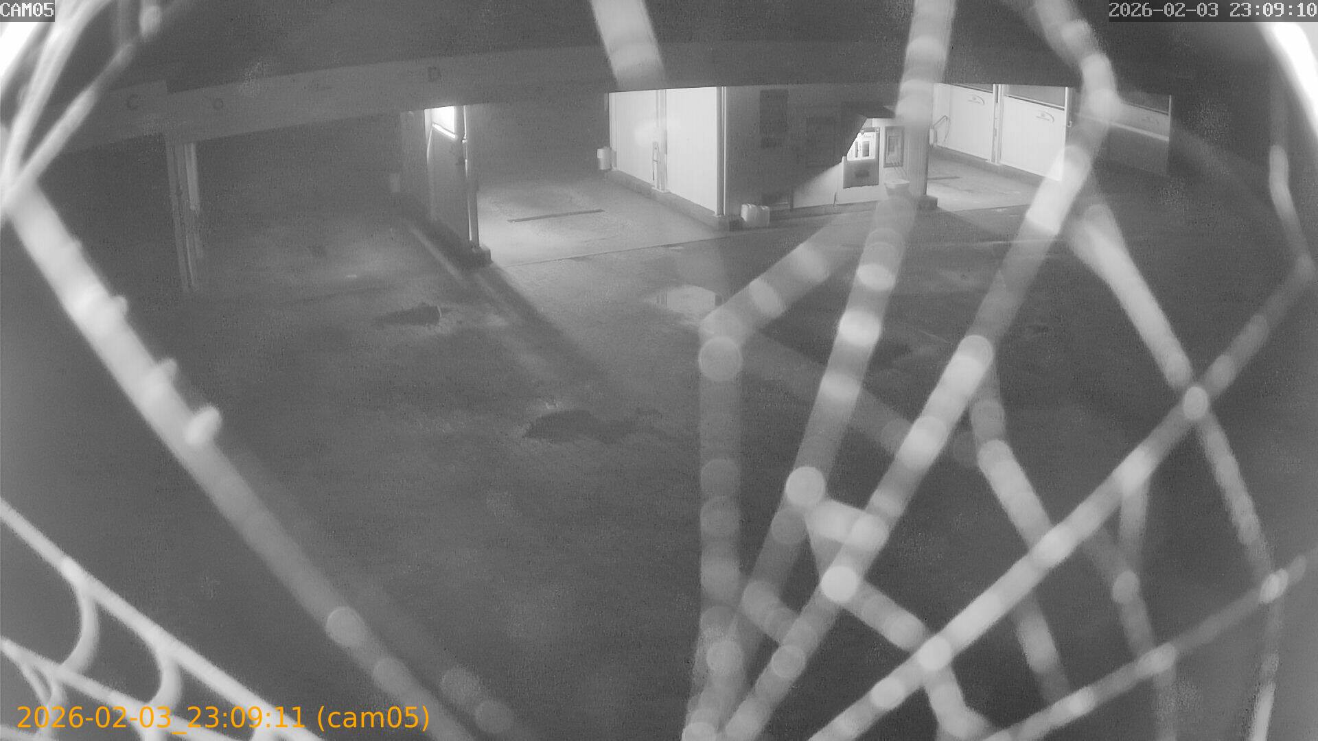 thumbnail_20260203230911