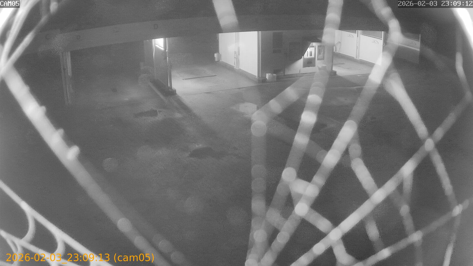 thumbnail_20260203230913