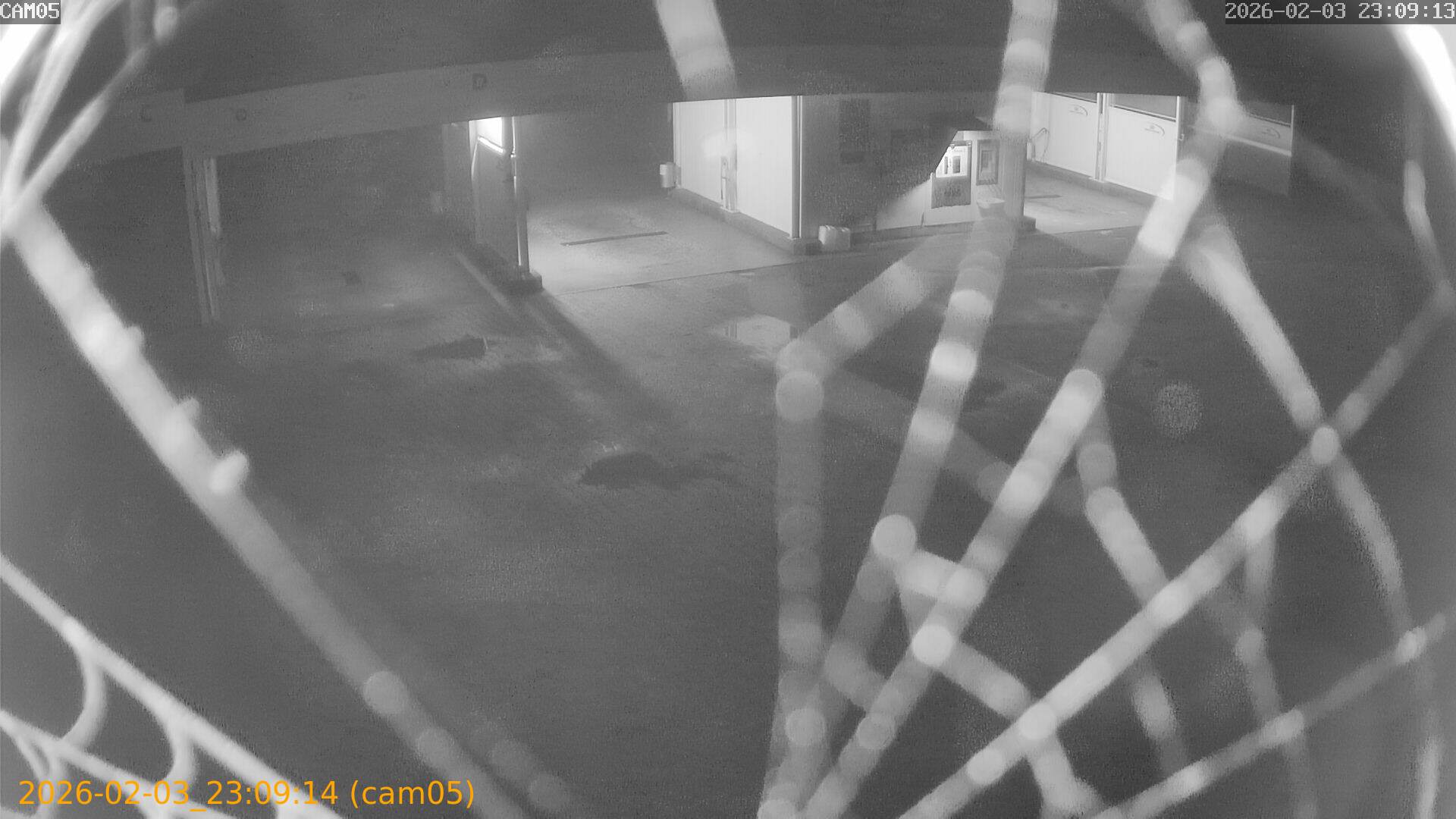 thumbnail_20260203230914