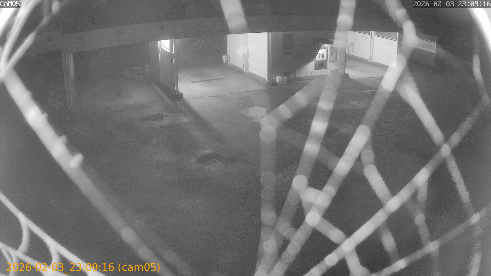 thumbnail_20260203230916