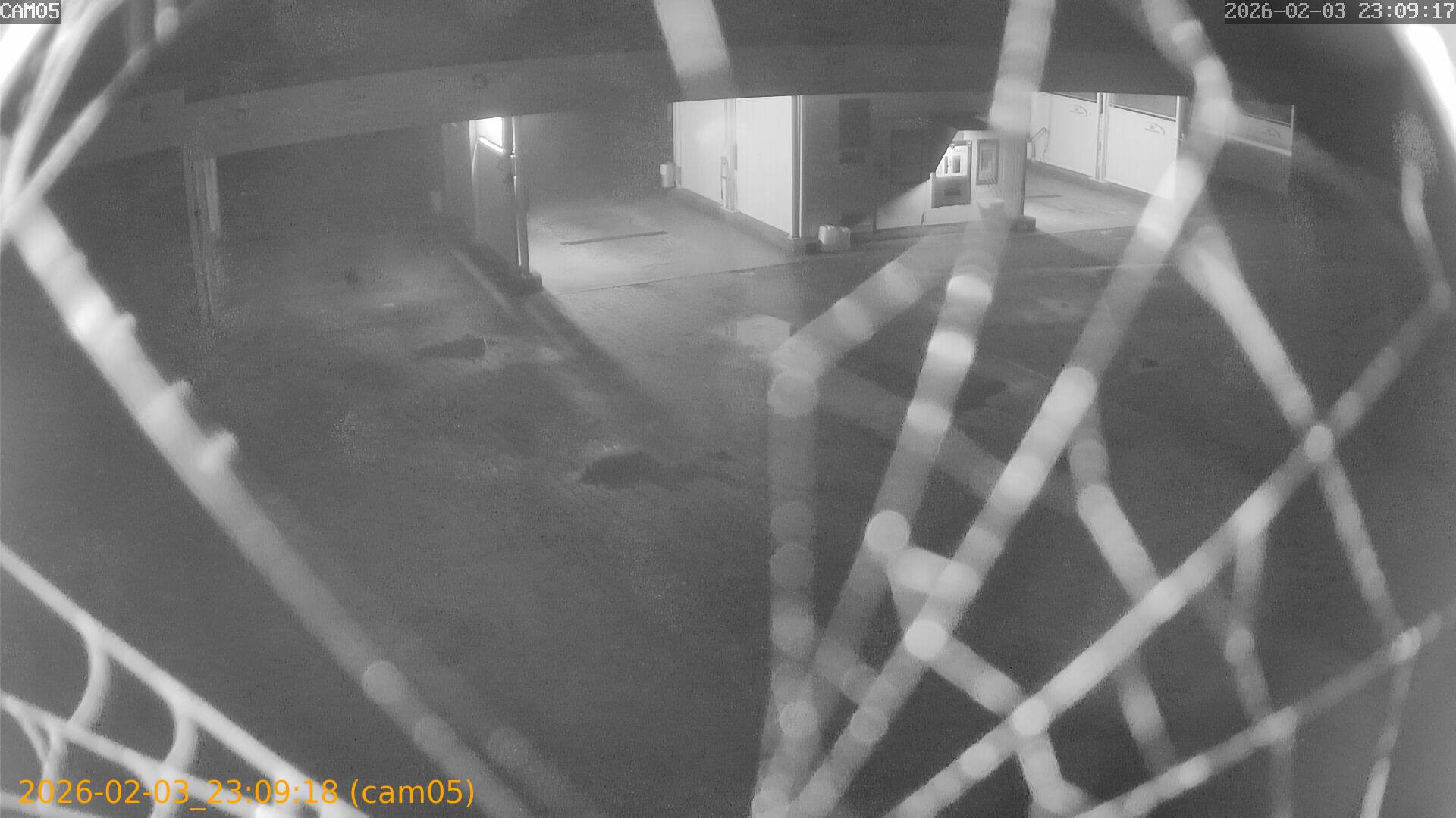 thumbnail_20260203230918