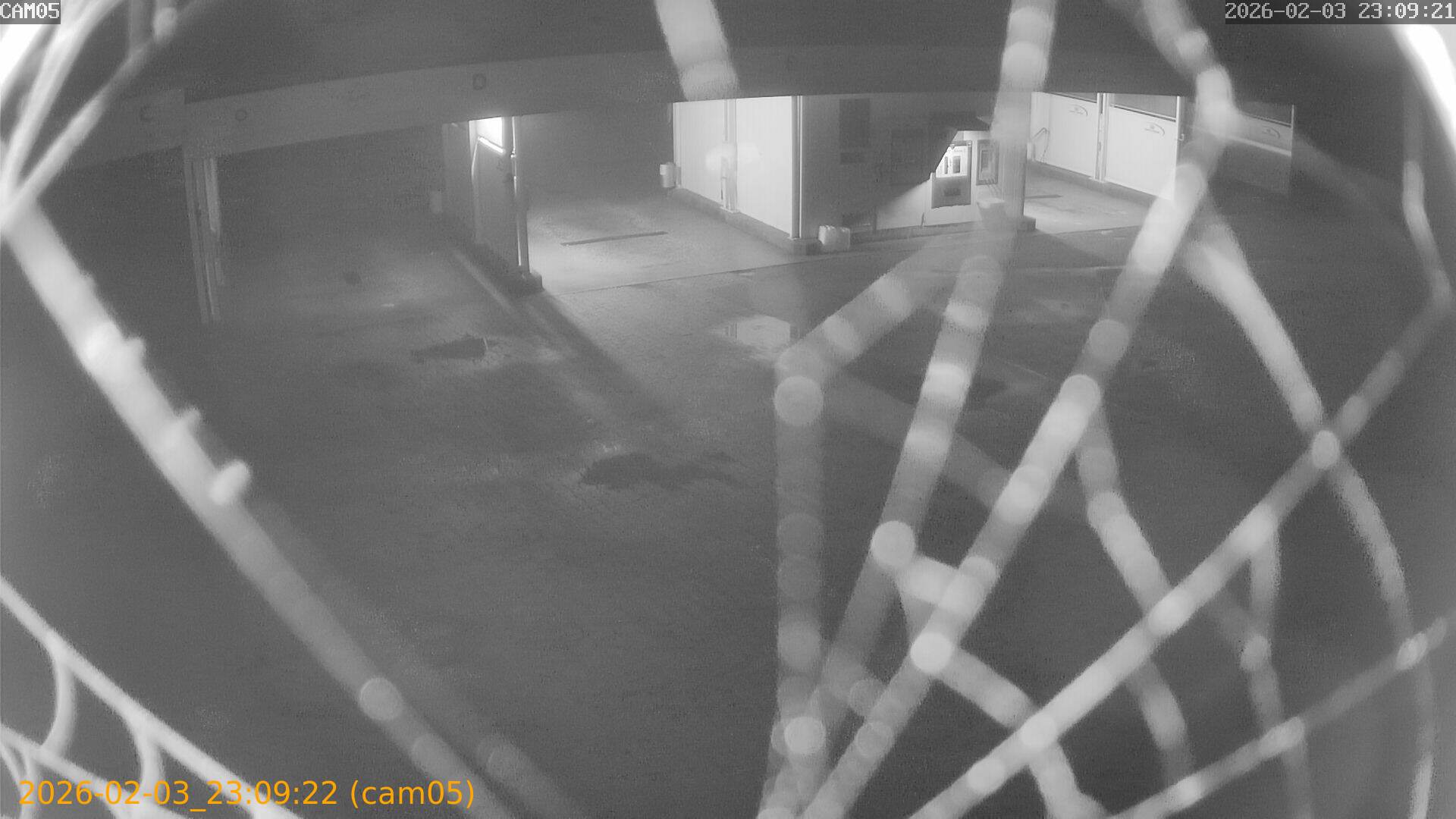 thumbnail_20260203230922