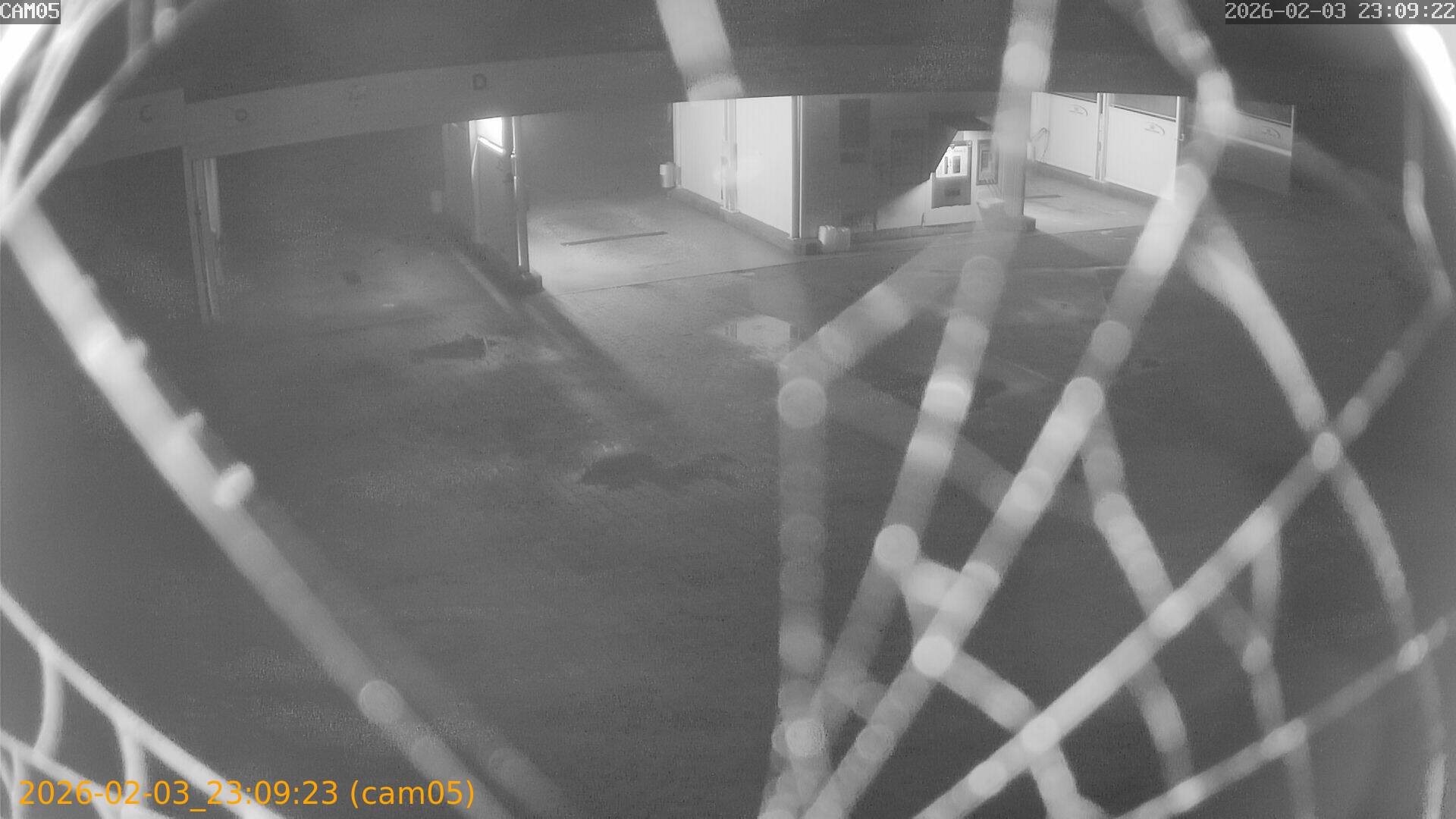 thumbnail_20260203230923