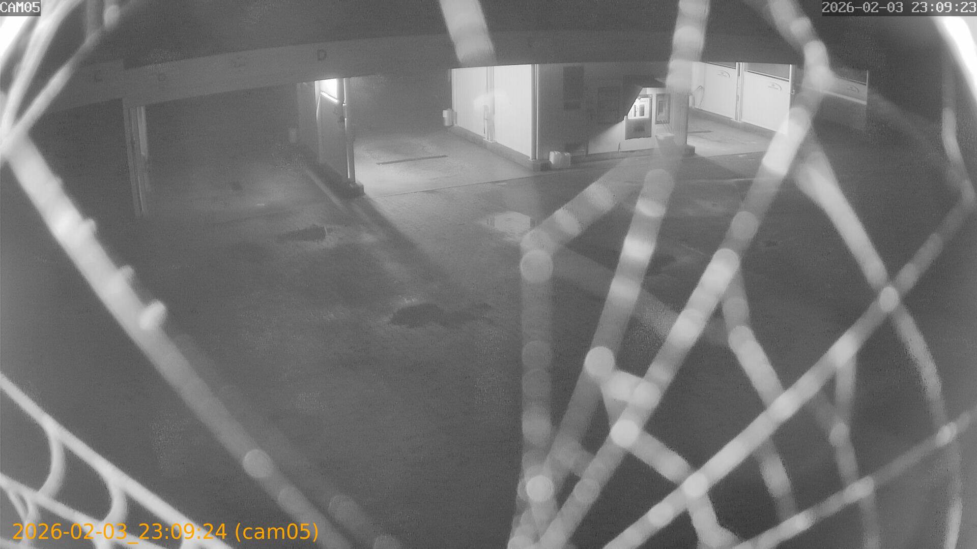 thumbnail_20260203230924