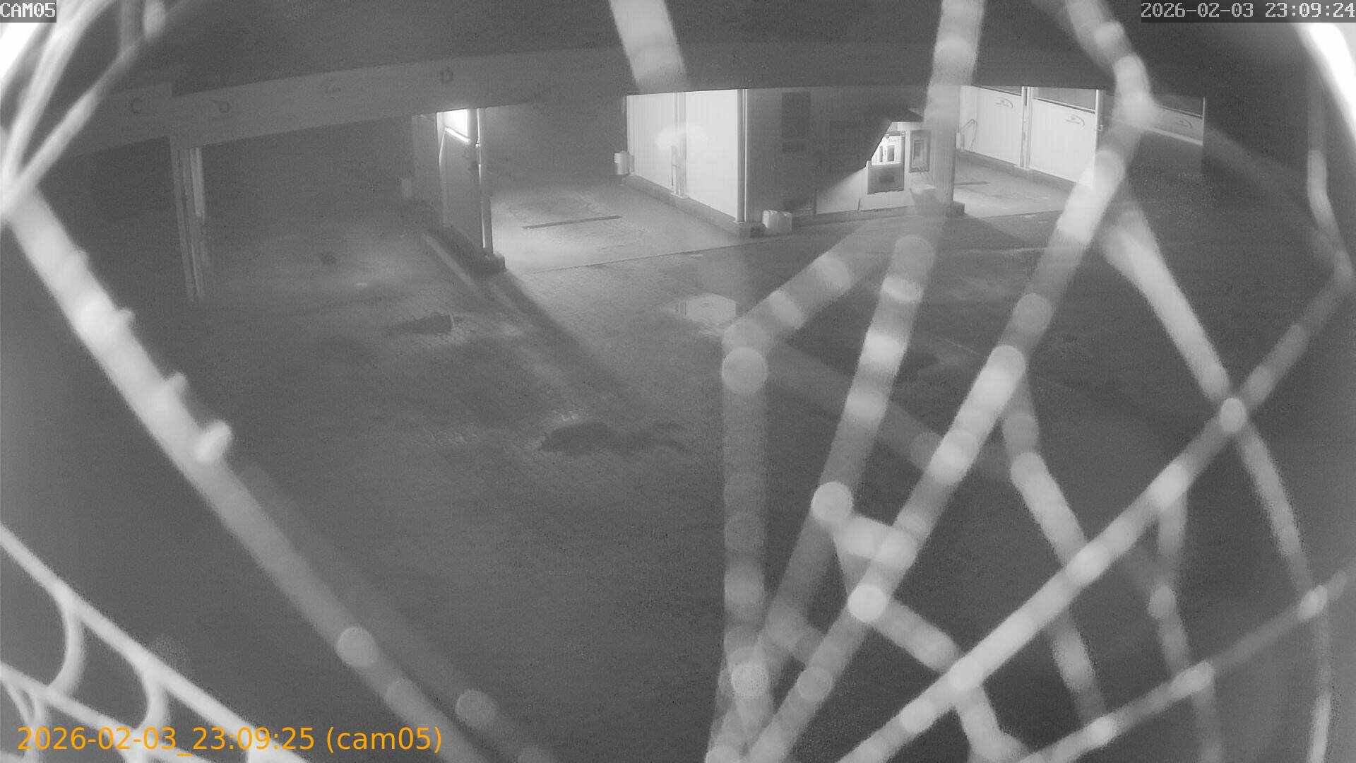 thumbnail_20260203230925