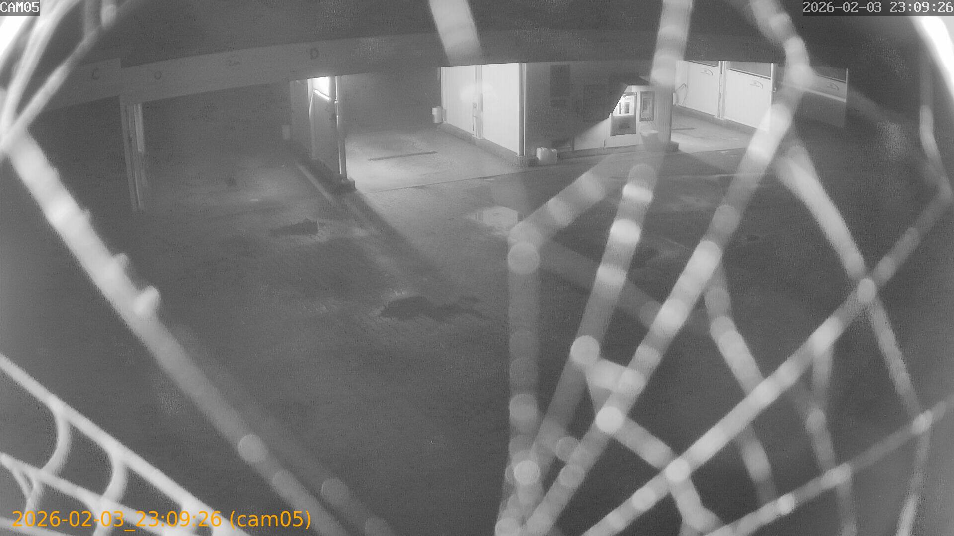 thumbnail_20260203230926