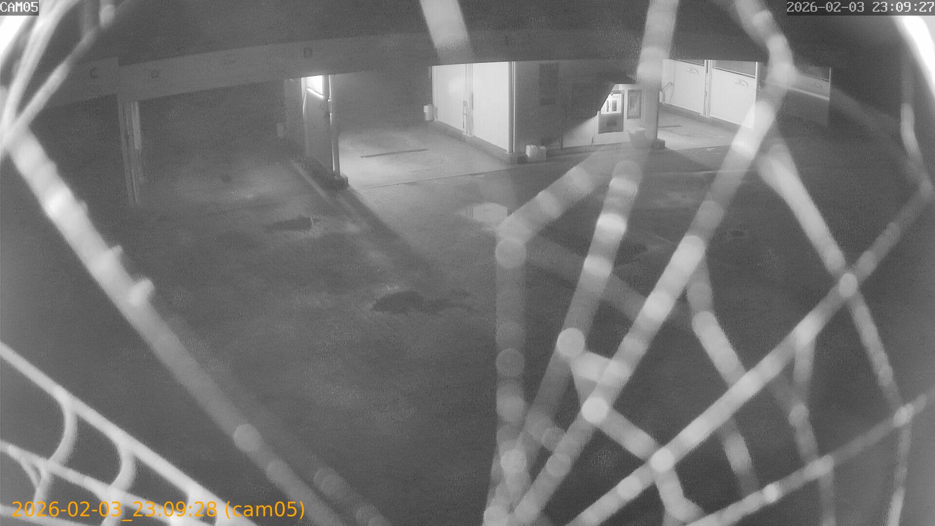 thumbnail_20260203230928