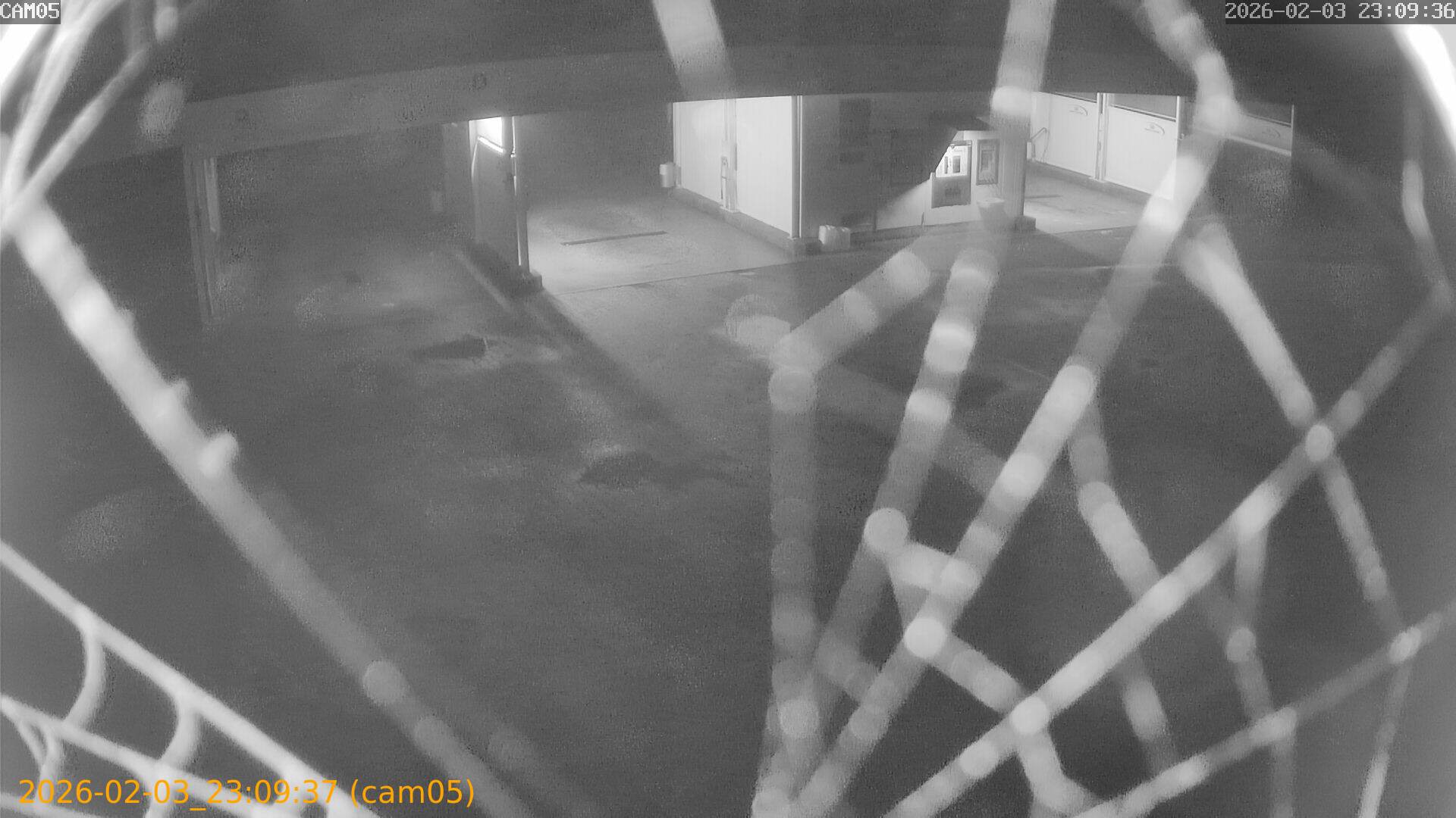 thumbnail_20260203230937