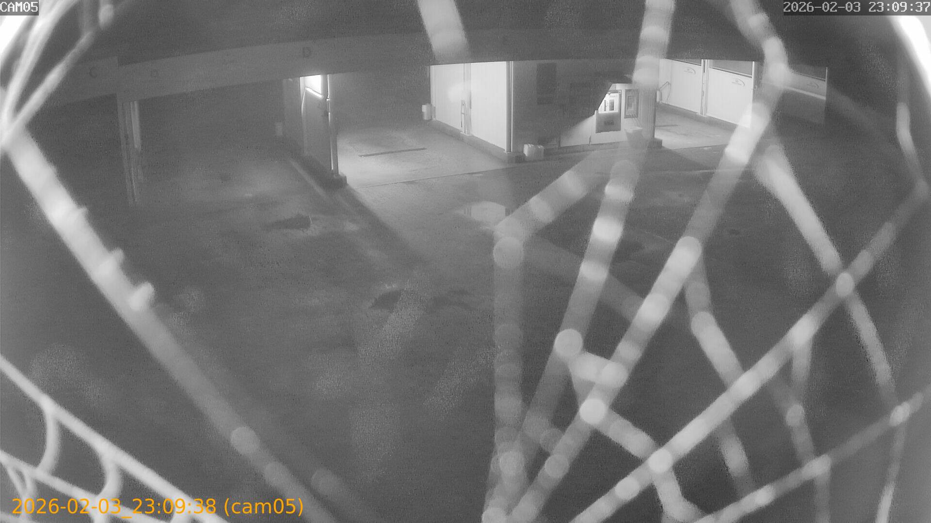 thumbnail_20260203230938