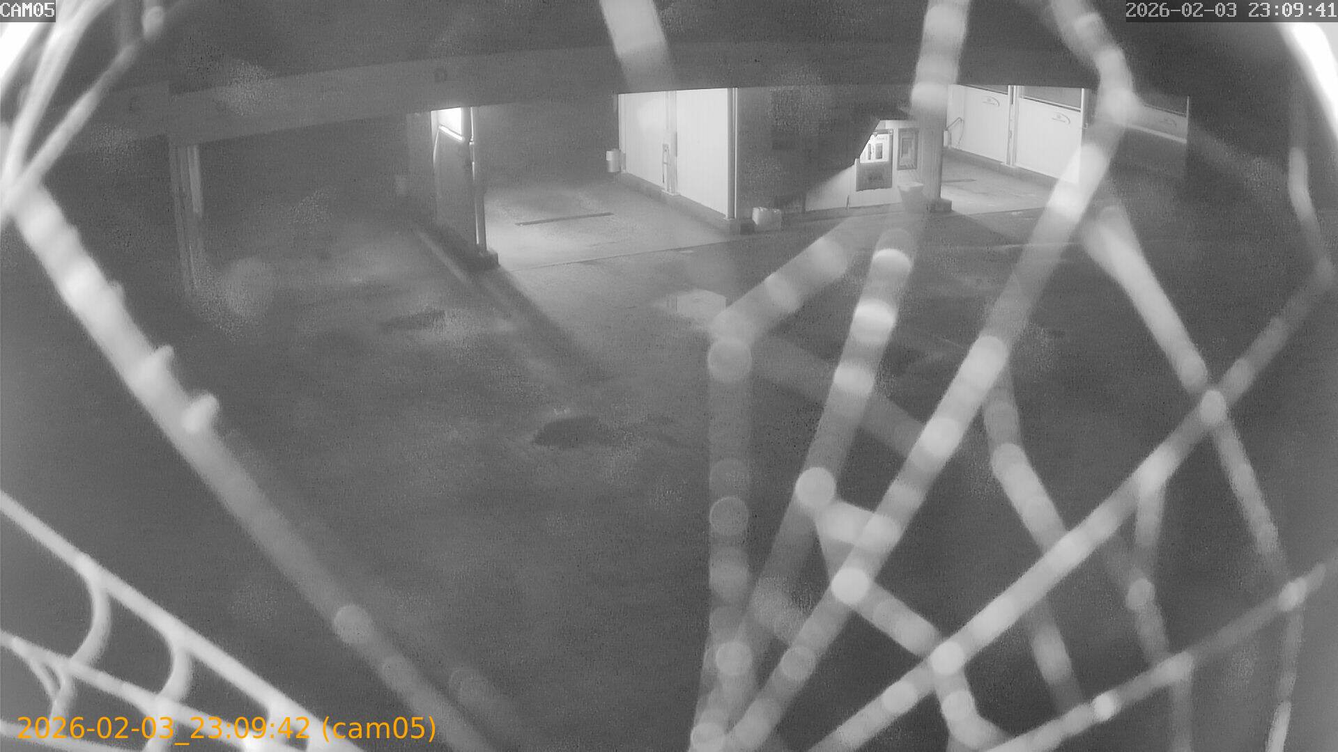 thumbnail_20260203230942