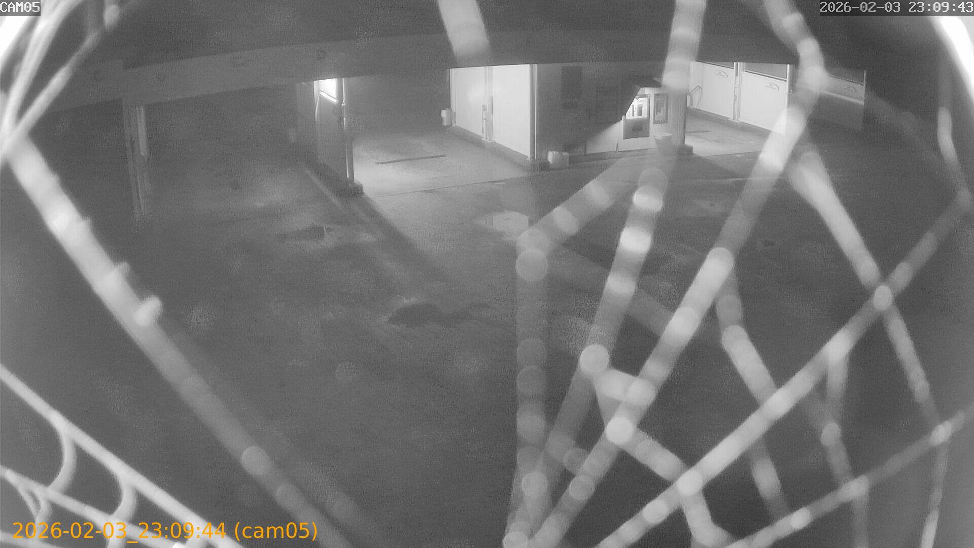 thumbnail_20260203230944