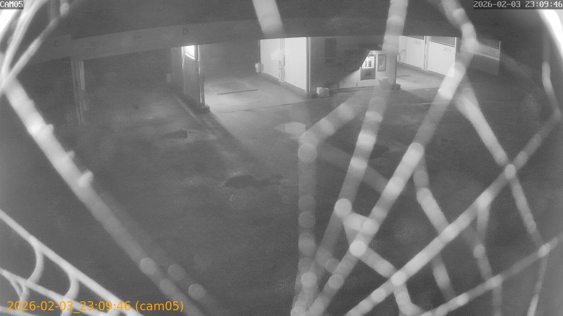 thumbnail_20260203230946