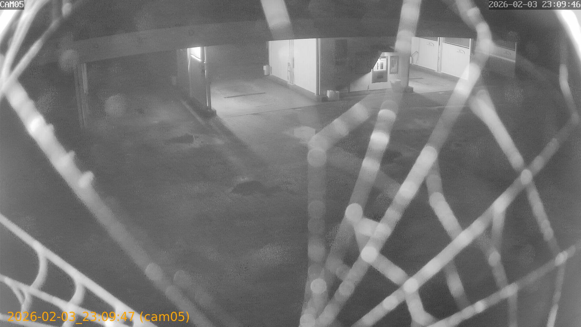 thumbnail_20260203230947