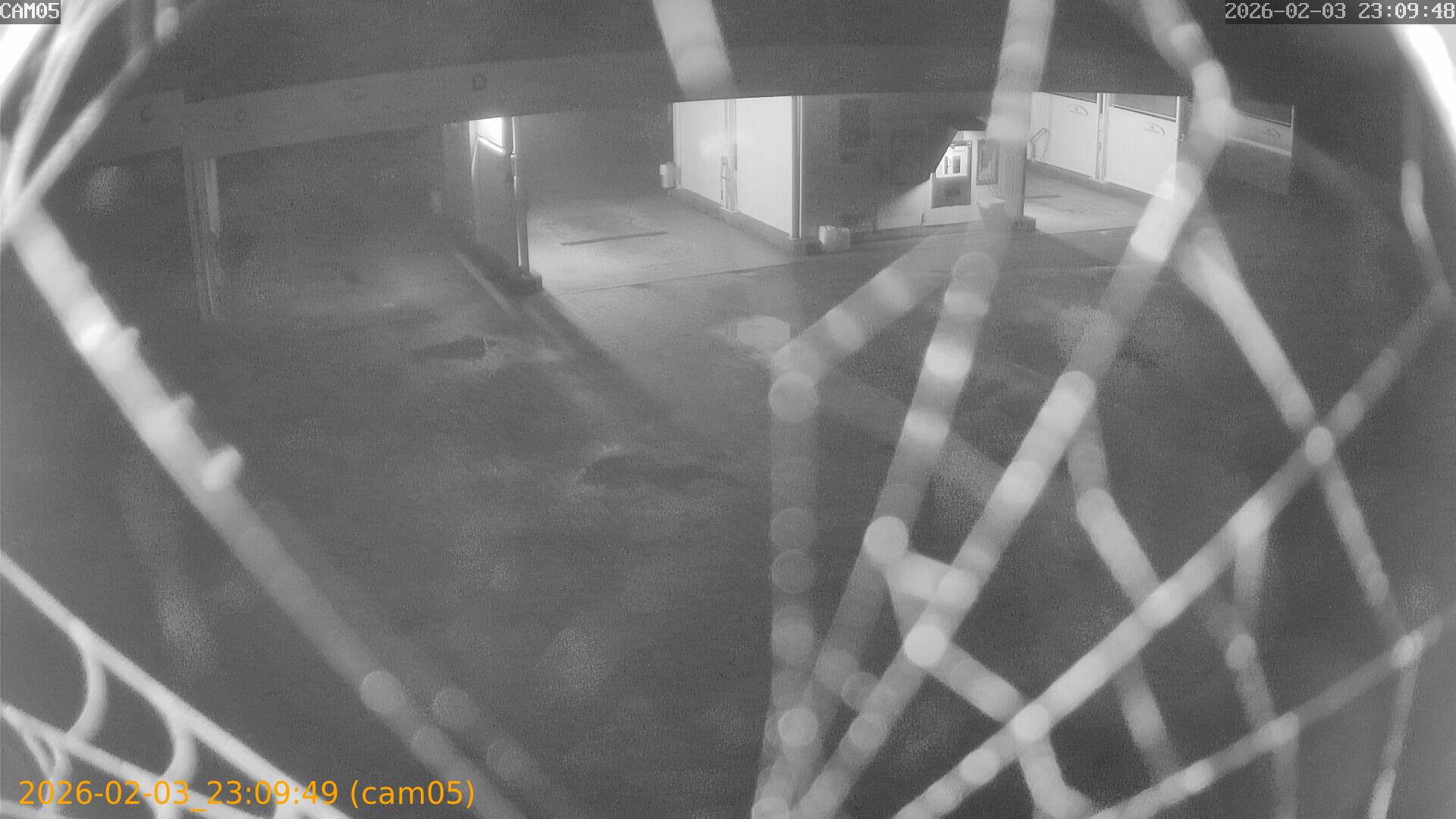 thumbnail_20260203230949