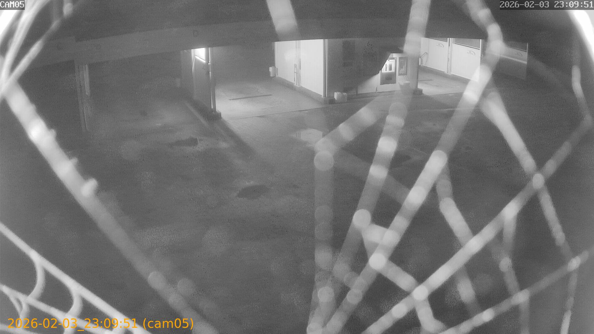 thumbnail_20260203230951