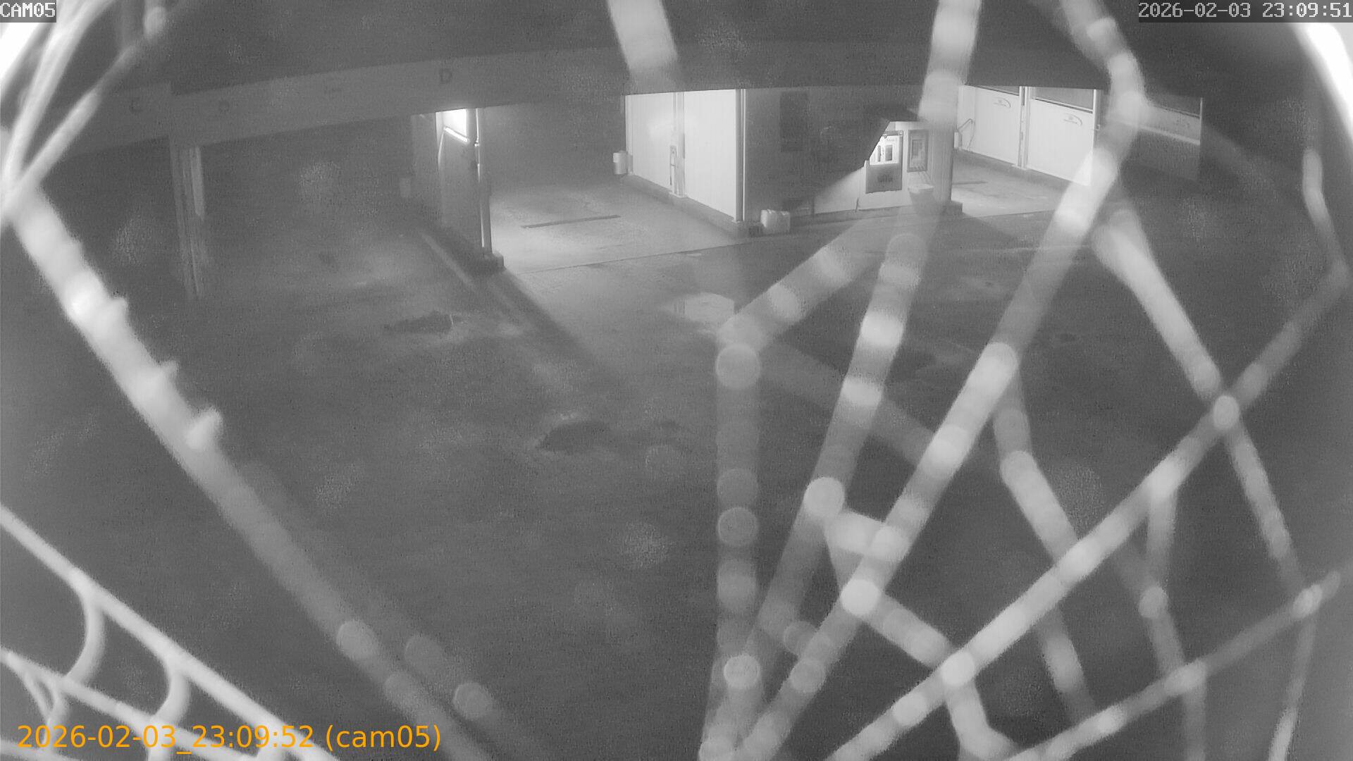 thumbnail_20260203230952