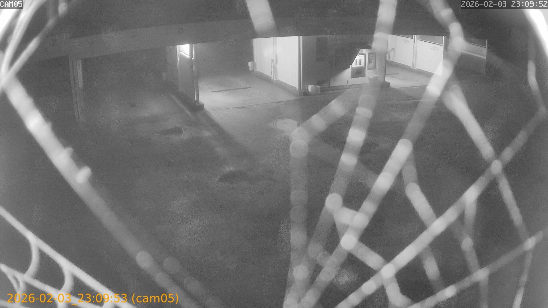 thumbnail_20260203230953