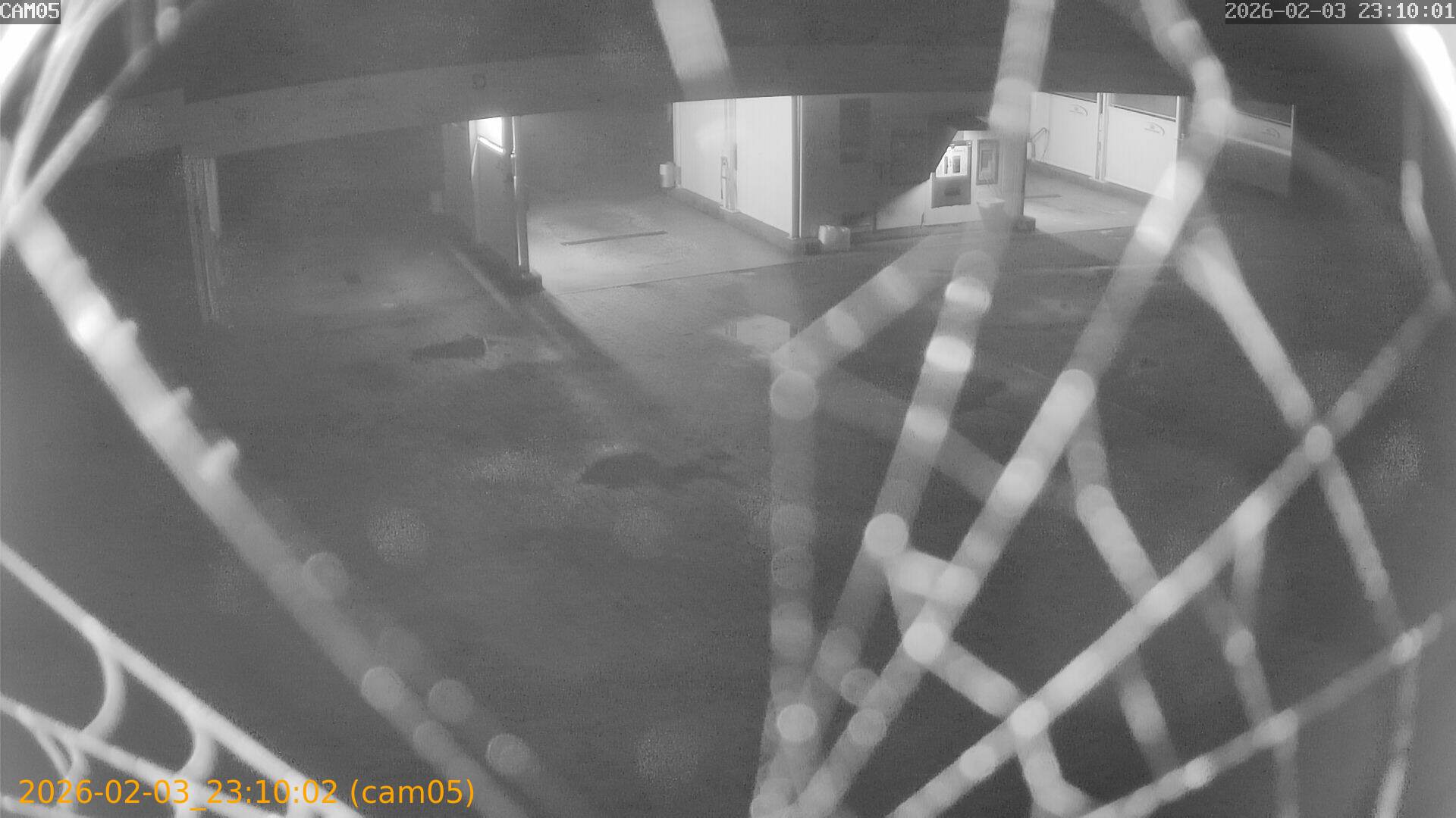 thumbnail_20260203231002