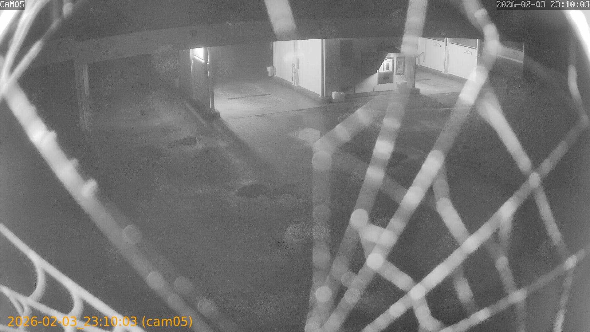 thumbnail_20260203231003